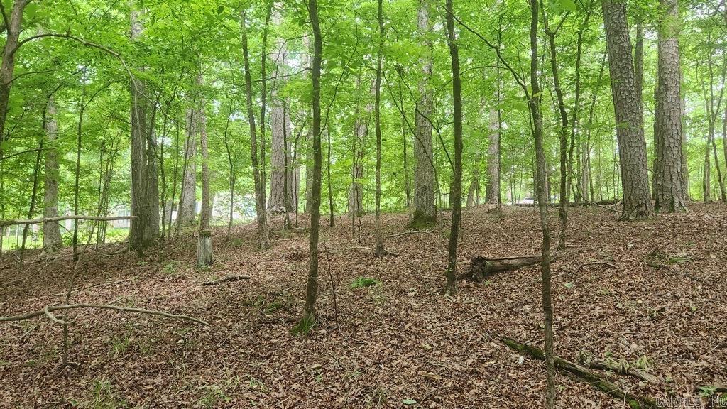 TBD  Overcrest Dr  Sims, AR