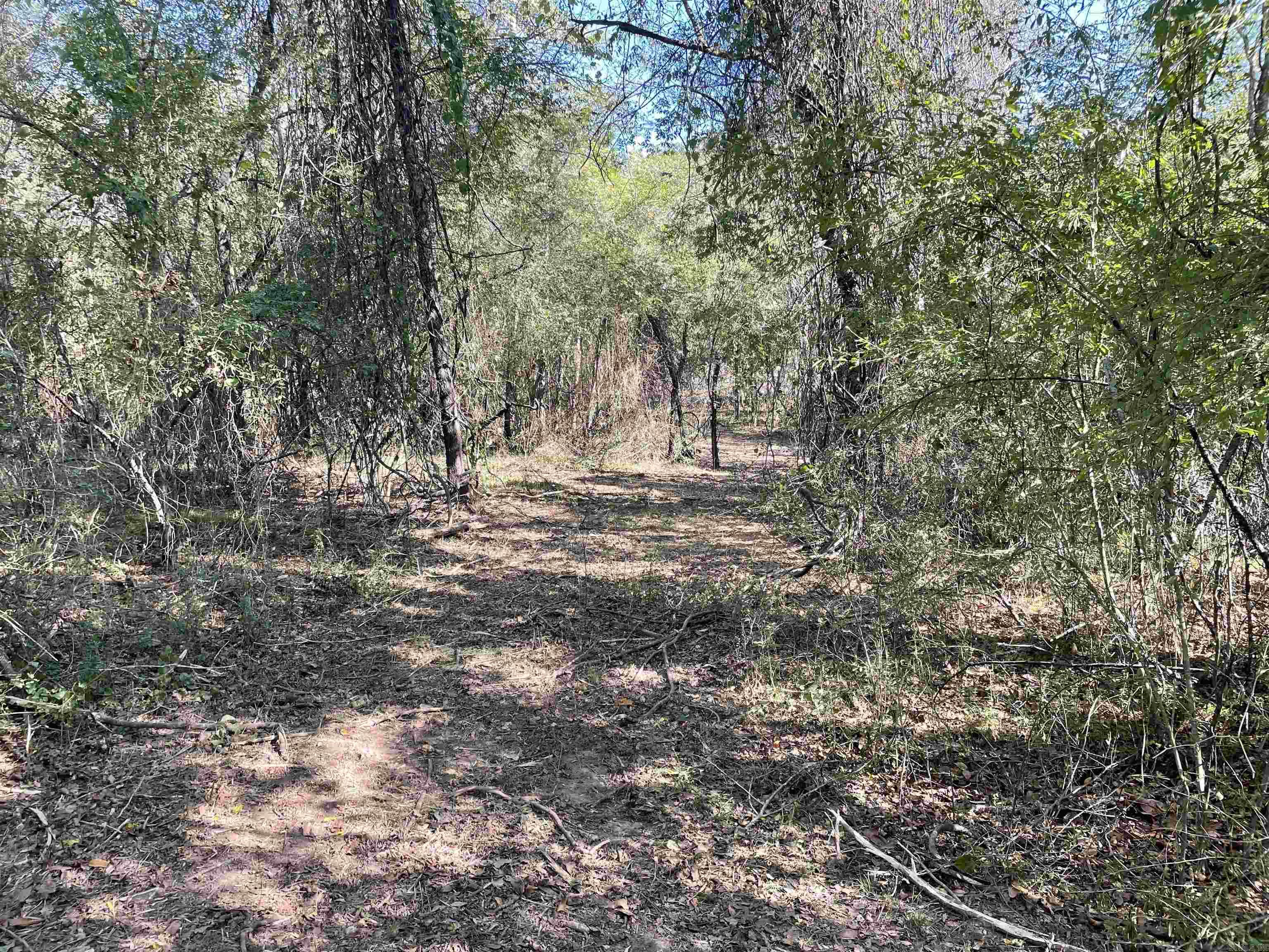 5  JABO LAKE ROAD  Little Rock, AR