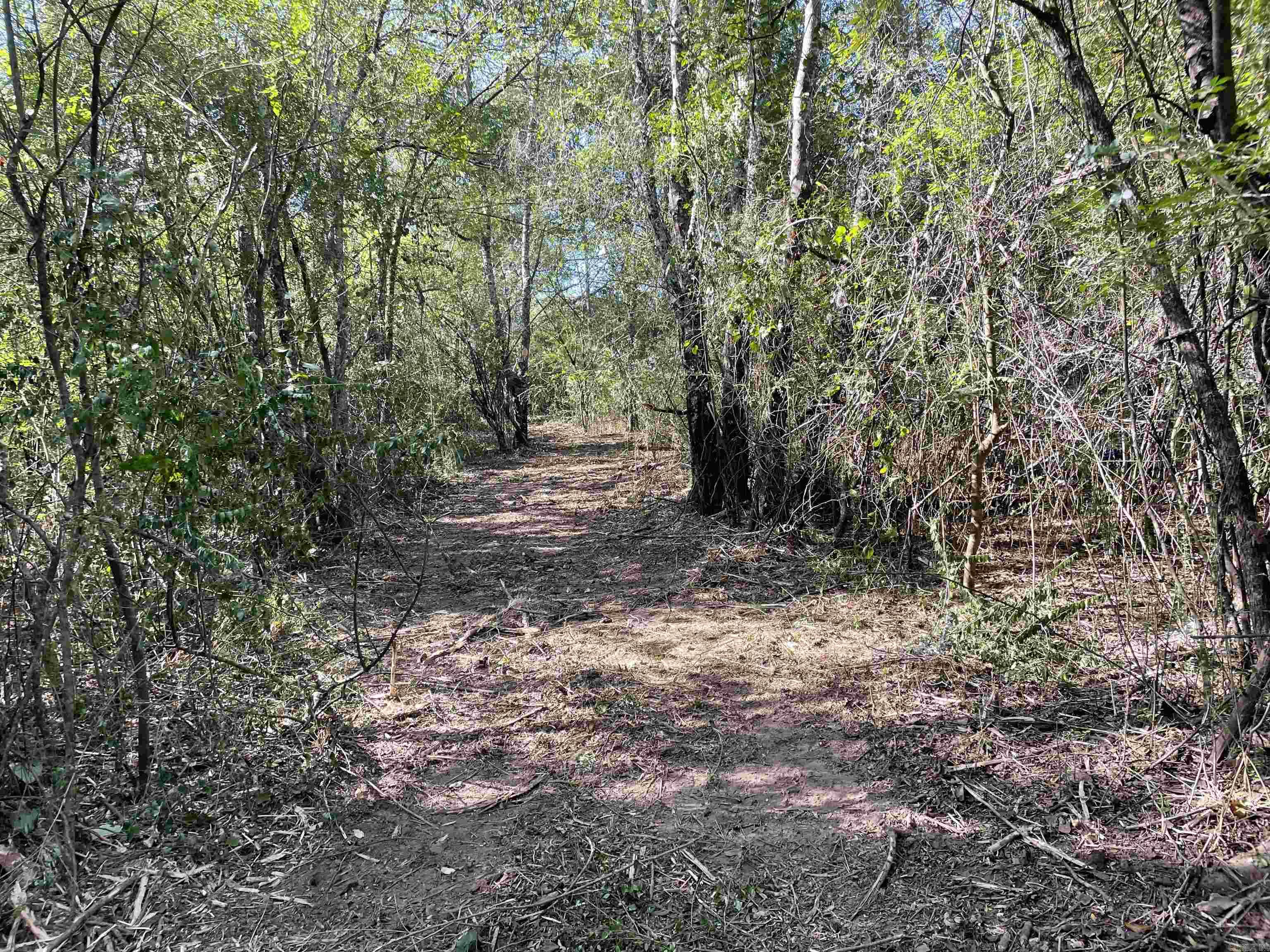 5  JABO LAKE ROAD  Little Rock, AR