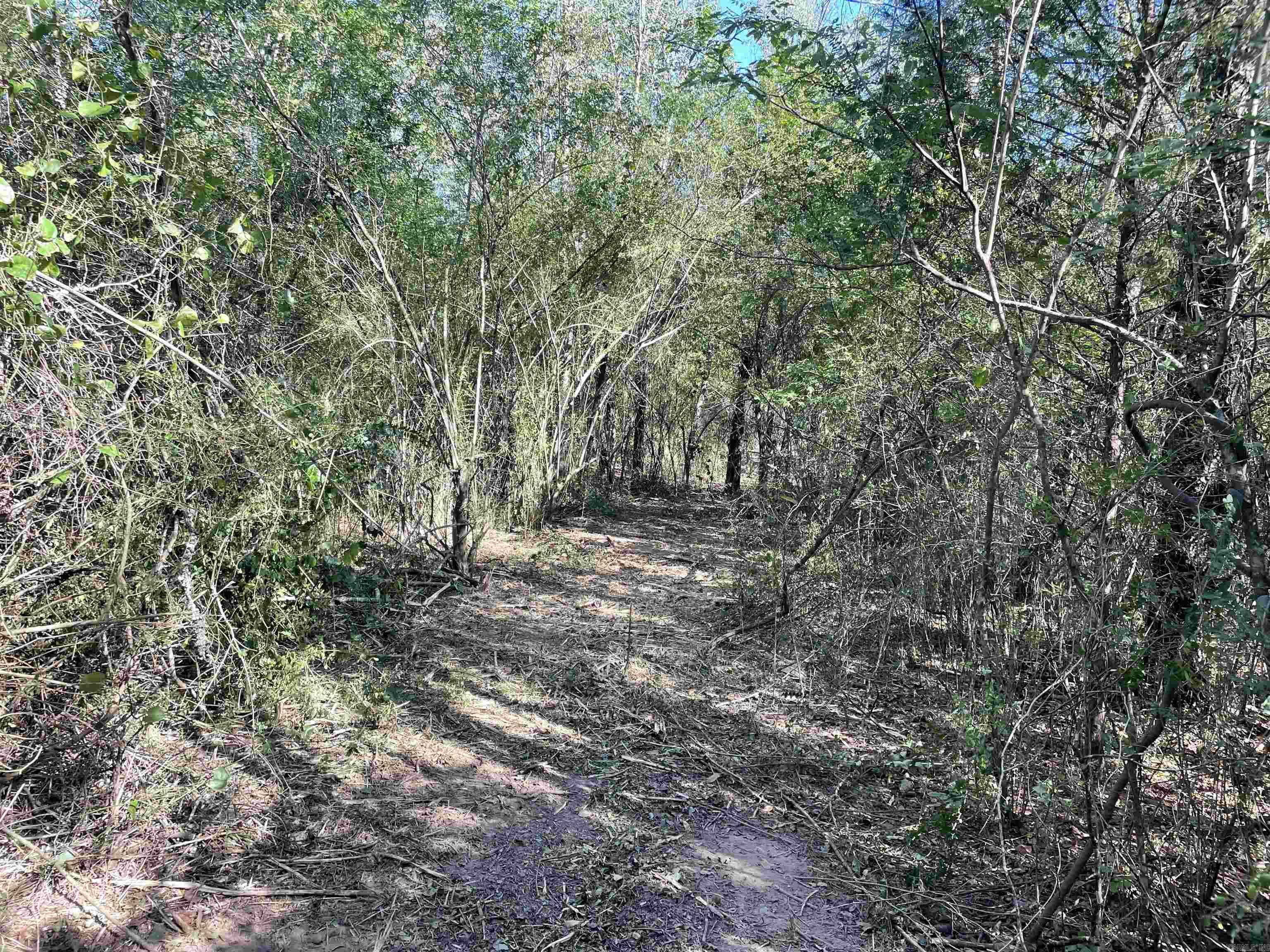 5  JABO LAKE ROAD  Little Rock, AR