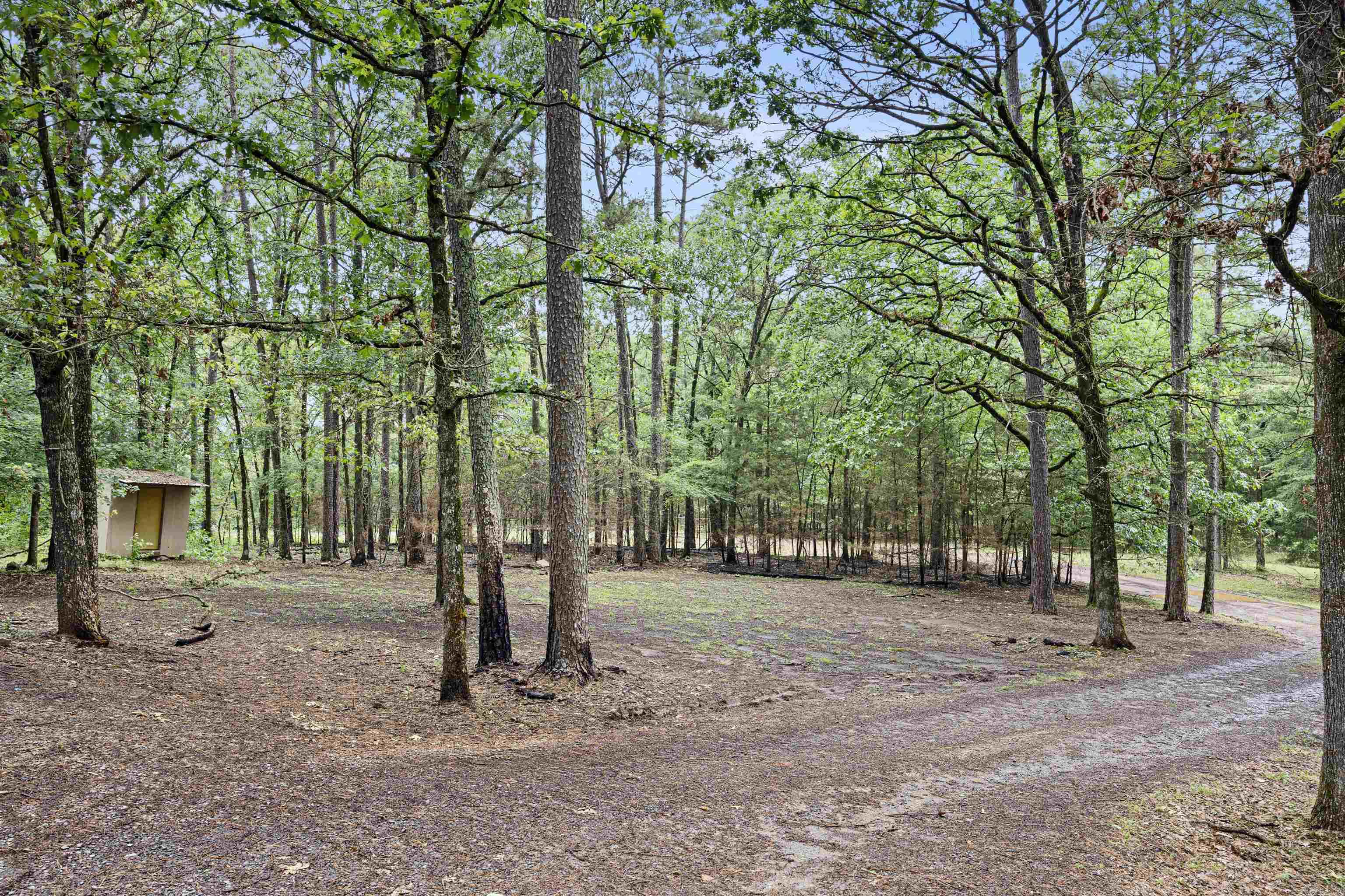 3017  County Road 2141  Hartman, AR