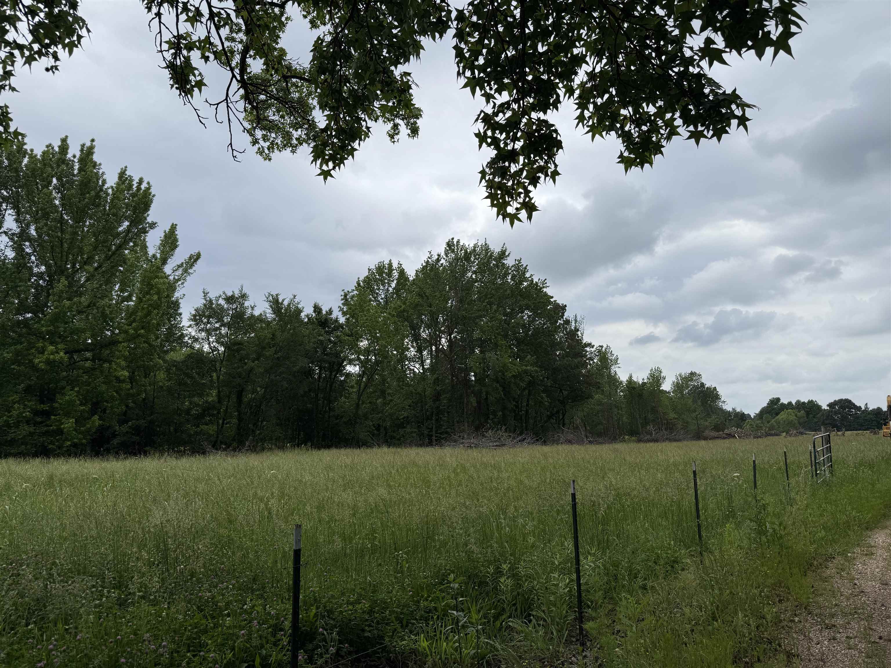 5.91 acres  CR 745  Jonesboro, AR