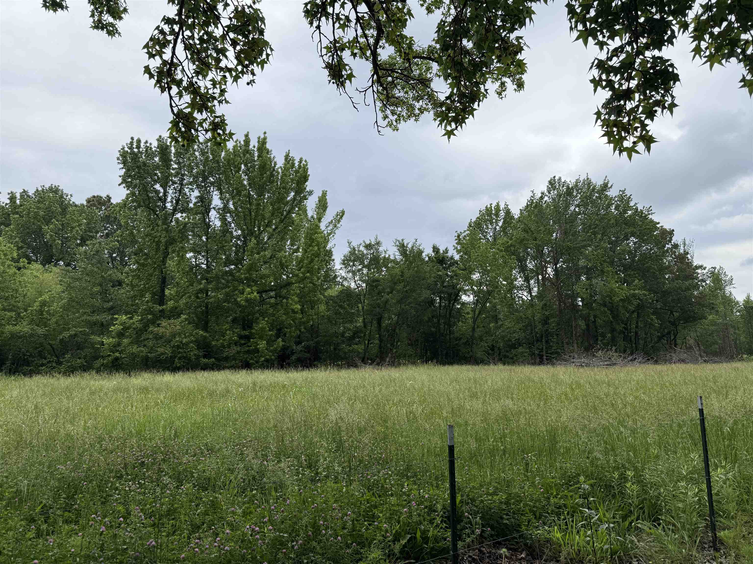 5.91 acres  CR 745  Jonesboro, AR