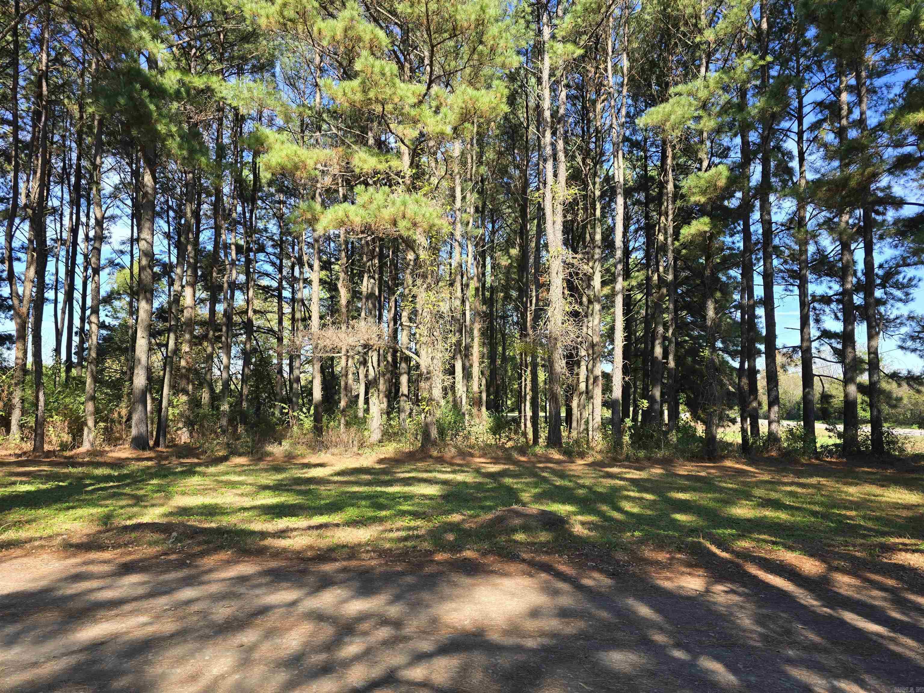 100-121  Sunshine  Judsonia, AR