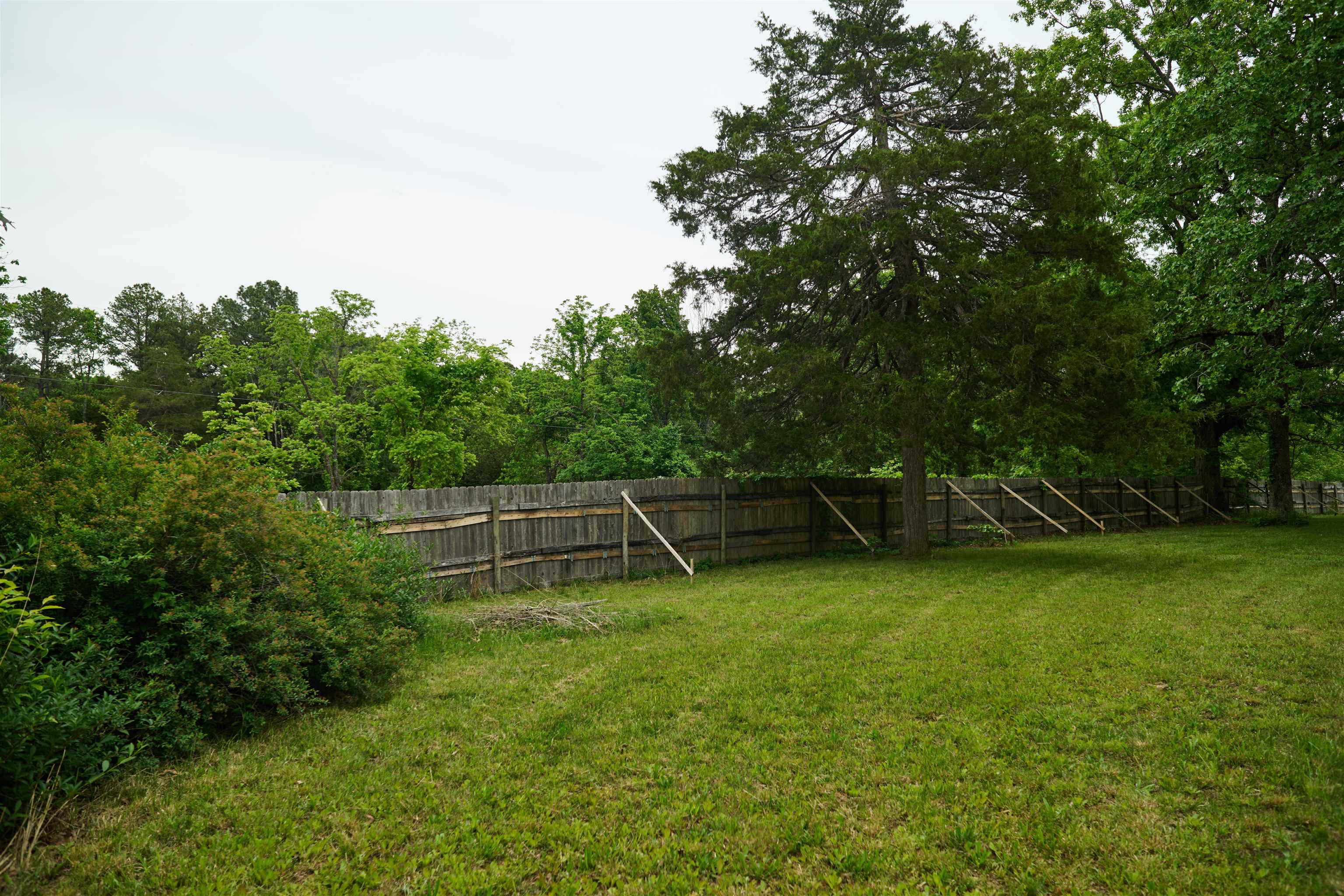 149  Firetower  Hardy, AR
