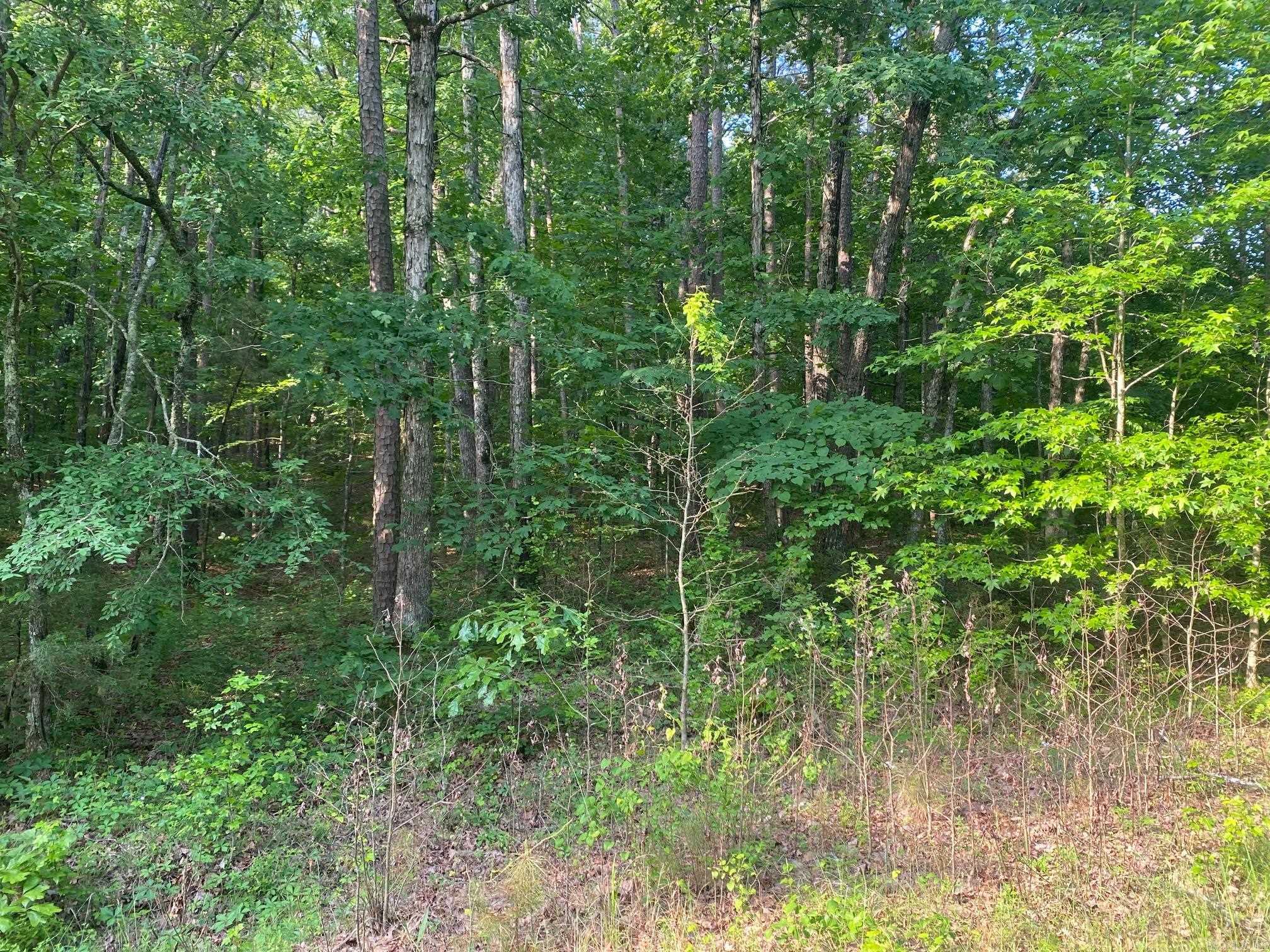00  Bella Vista  Clinton, AR