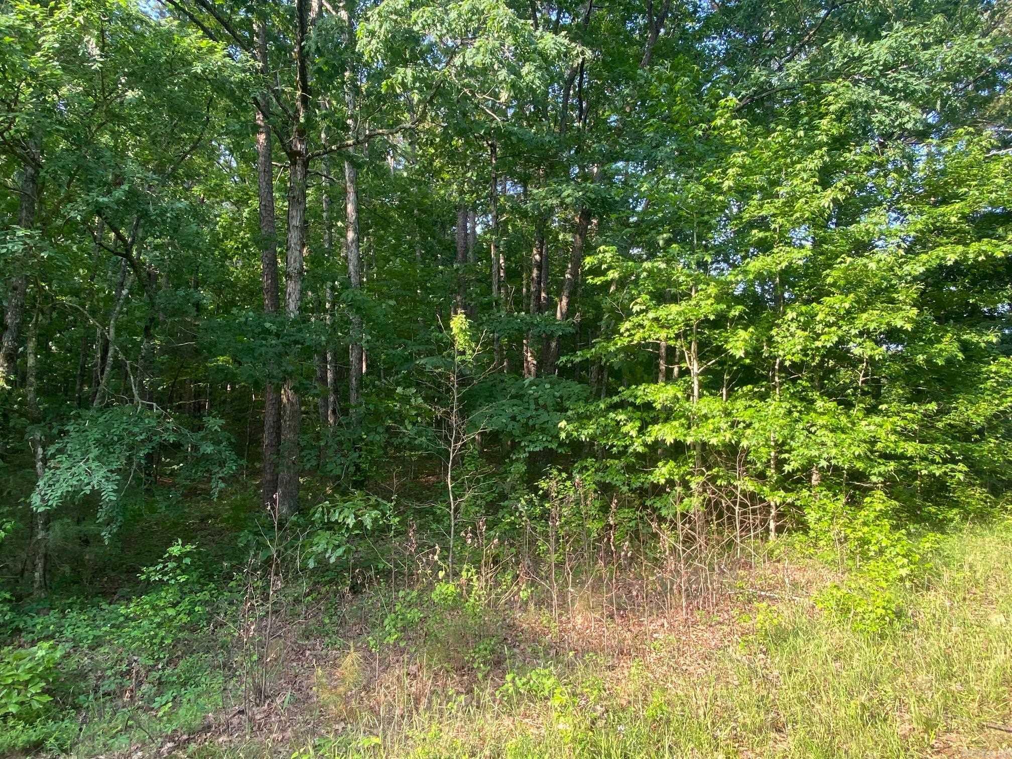 00  Bella Vista  Clinton, AR
