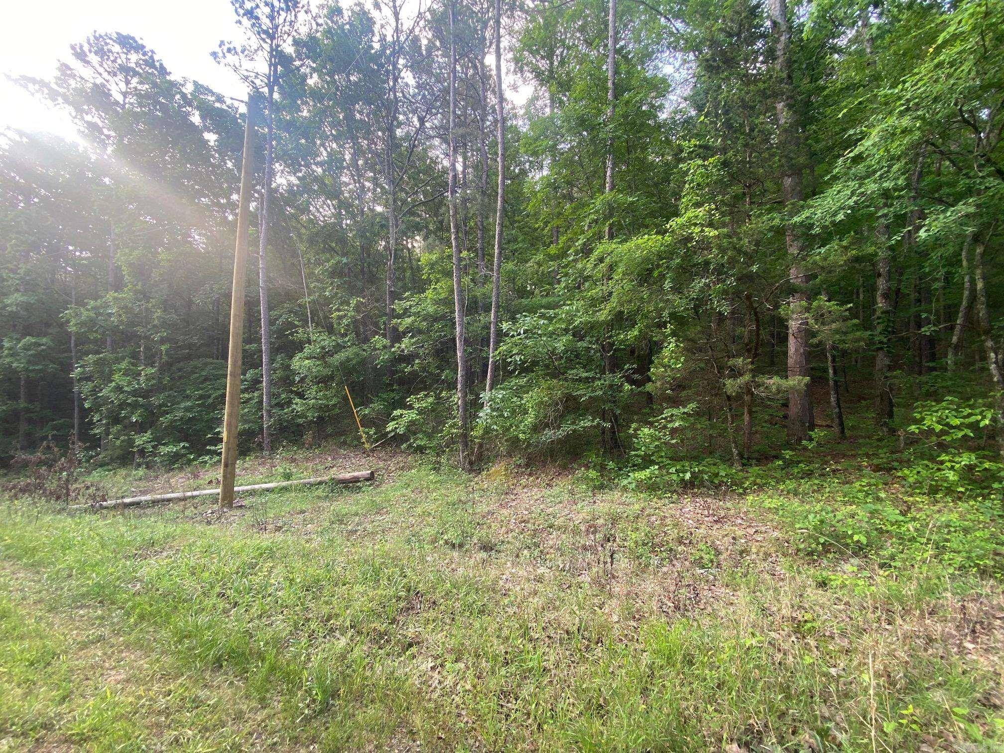 00  Bella Vista  Clinton, AR