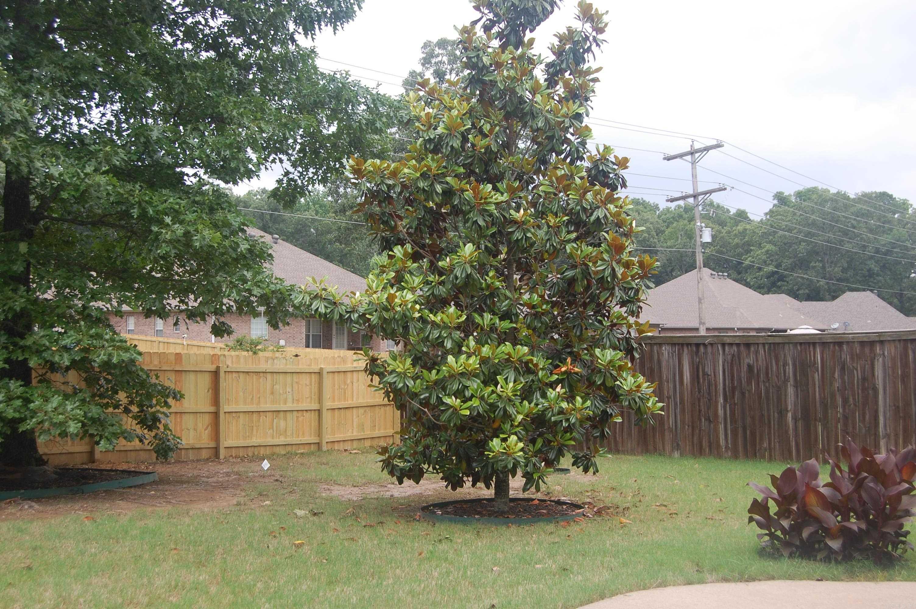 113  Bouriese  Maumelle, AR
