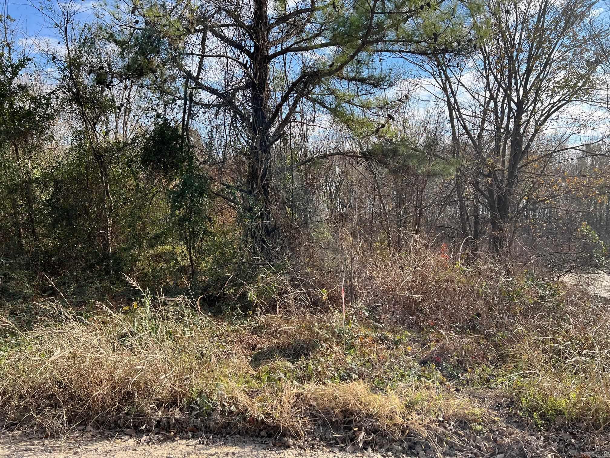 00  county road 305  Manila, AR