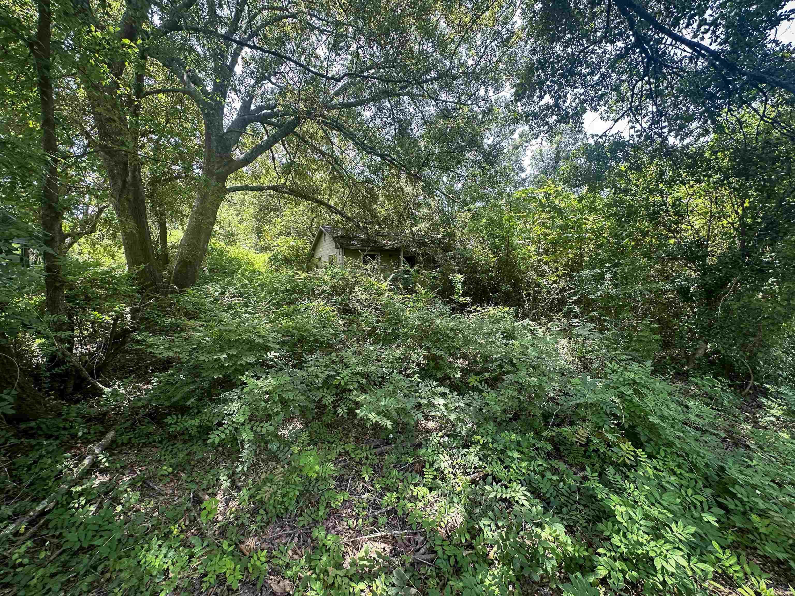 1601  Howard  Crossett, AR