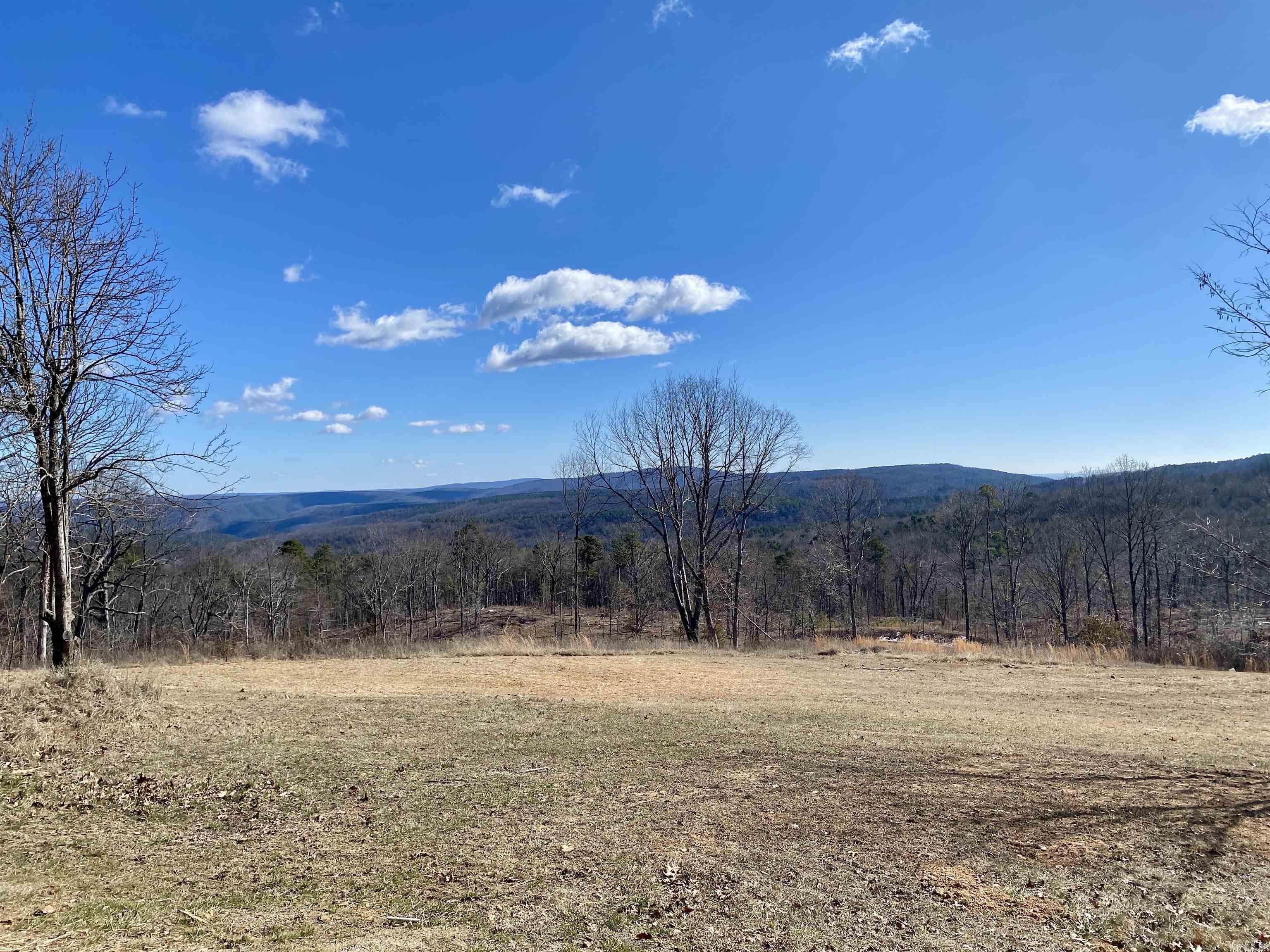 1671  County Road 4501  Ozone, AR