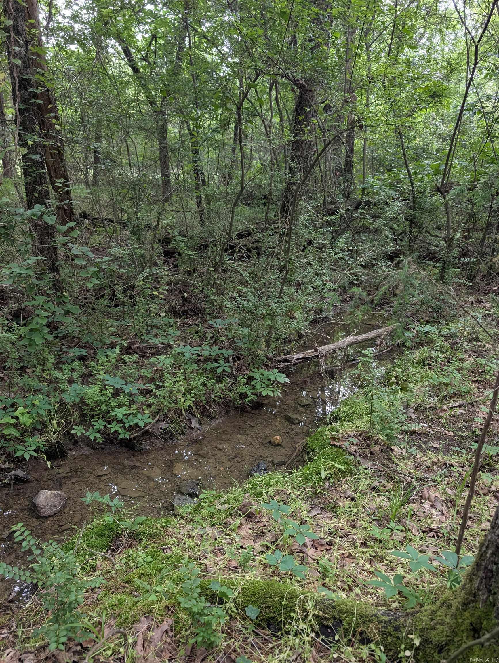 42  San Pablo  Hot Springs Village, AR