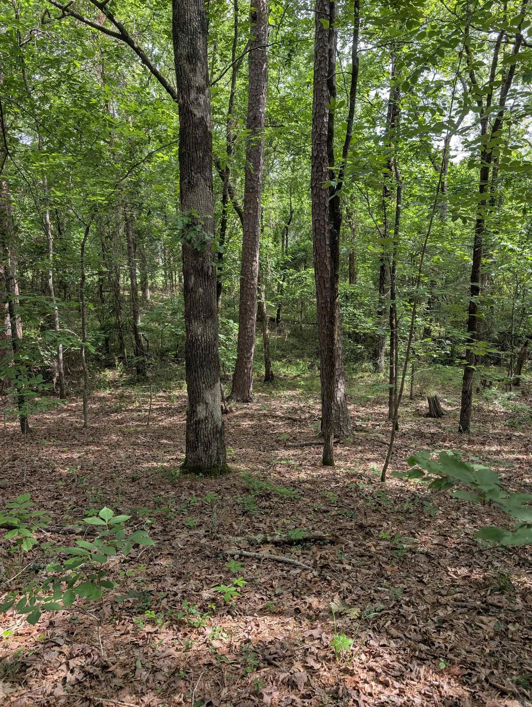 42  San Pablo  Hot Springs Village, AR