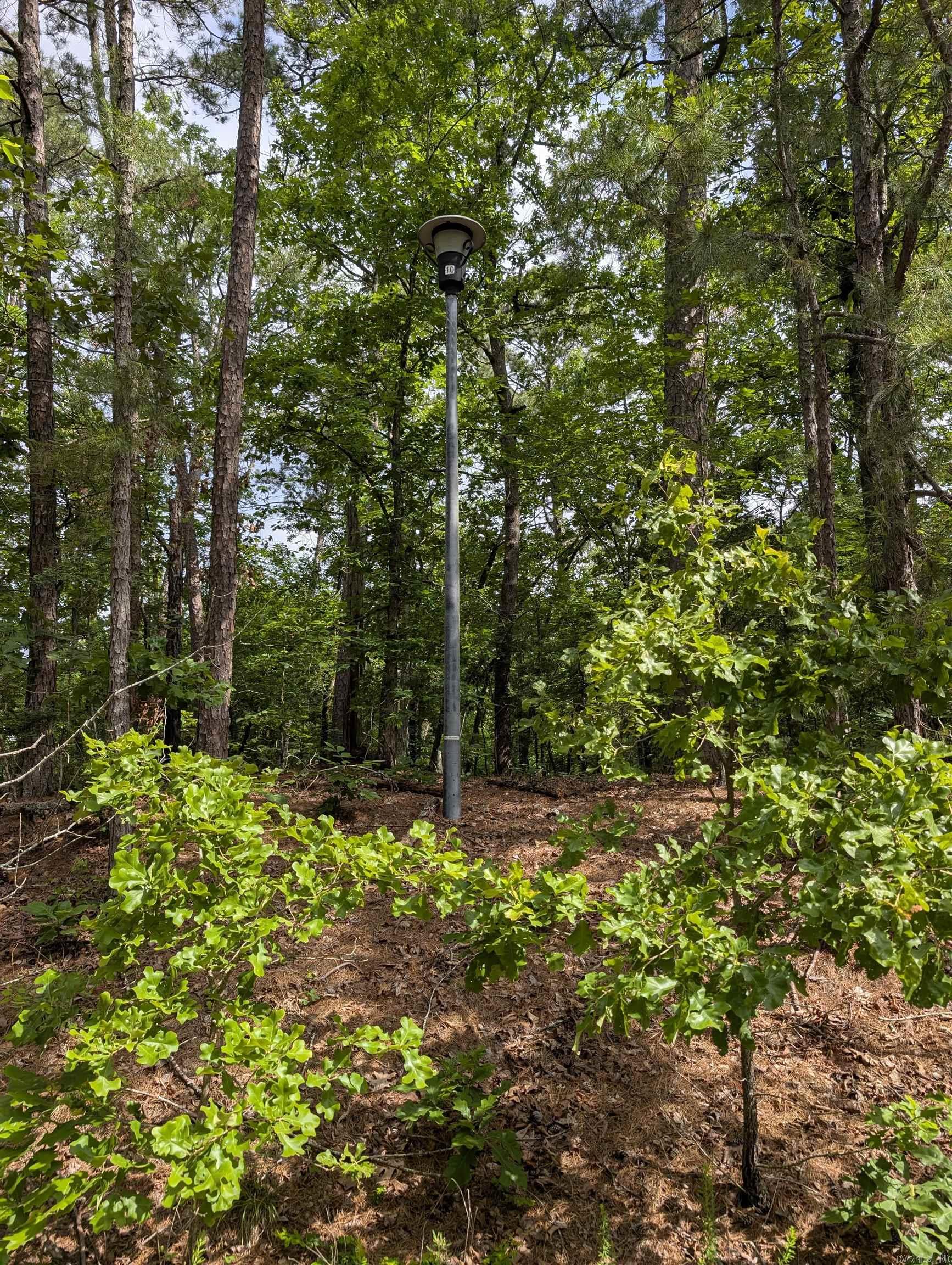 42  San Pablo  Hot Springs Village, AR