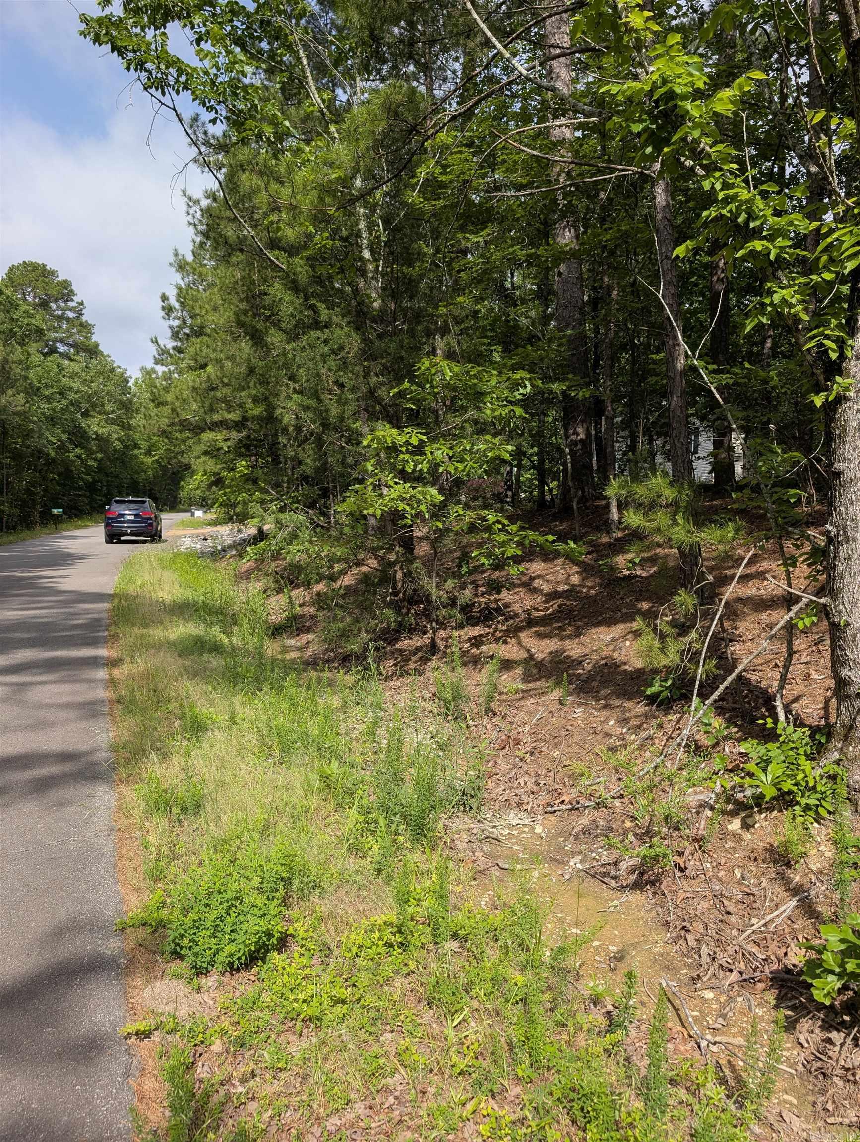 42  San Pablo  Hot Springs Village, AR