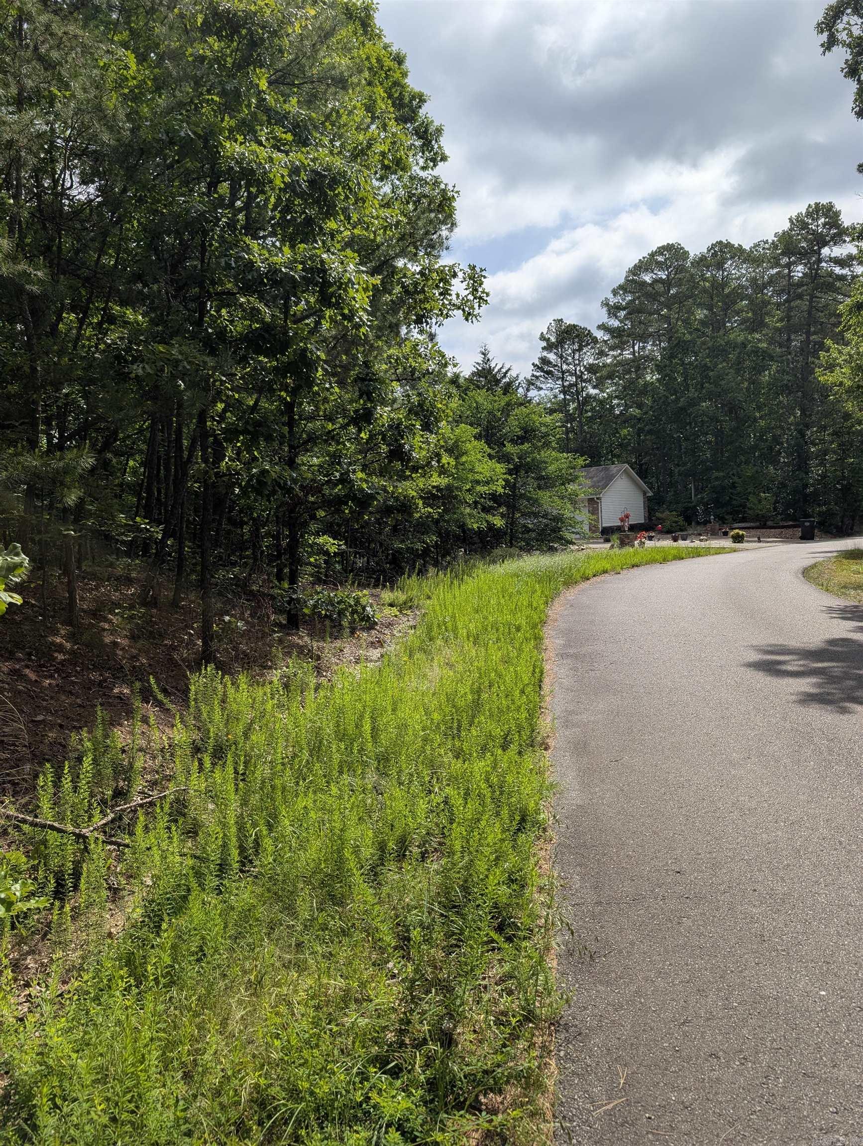 42  San Pablo  Hot Springs Village, AR