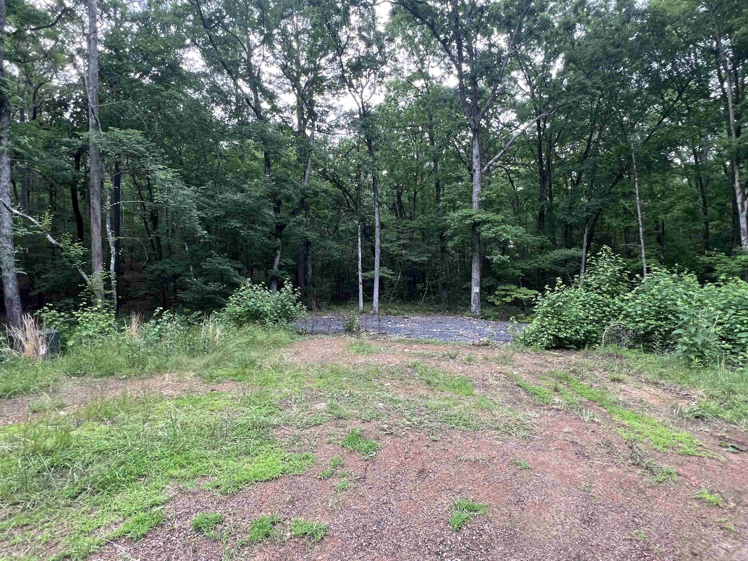 310  Cathedral Pines  Mena, AR