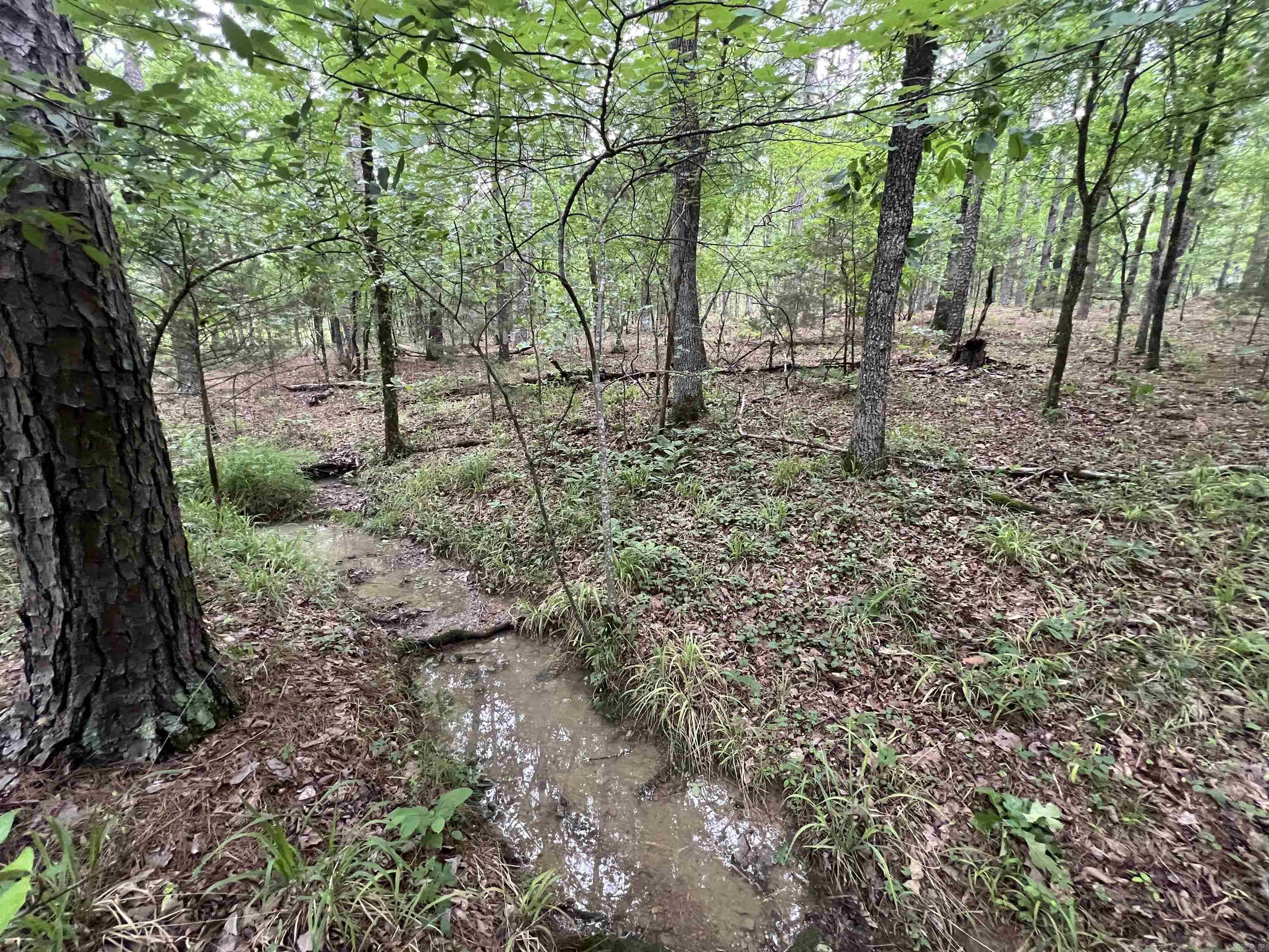 310  Cathedral Pines  Mena, AR
