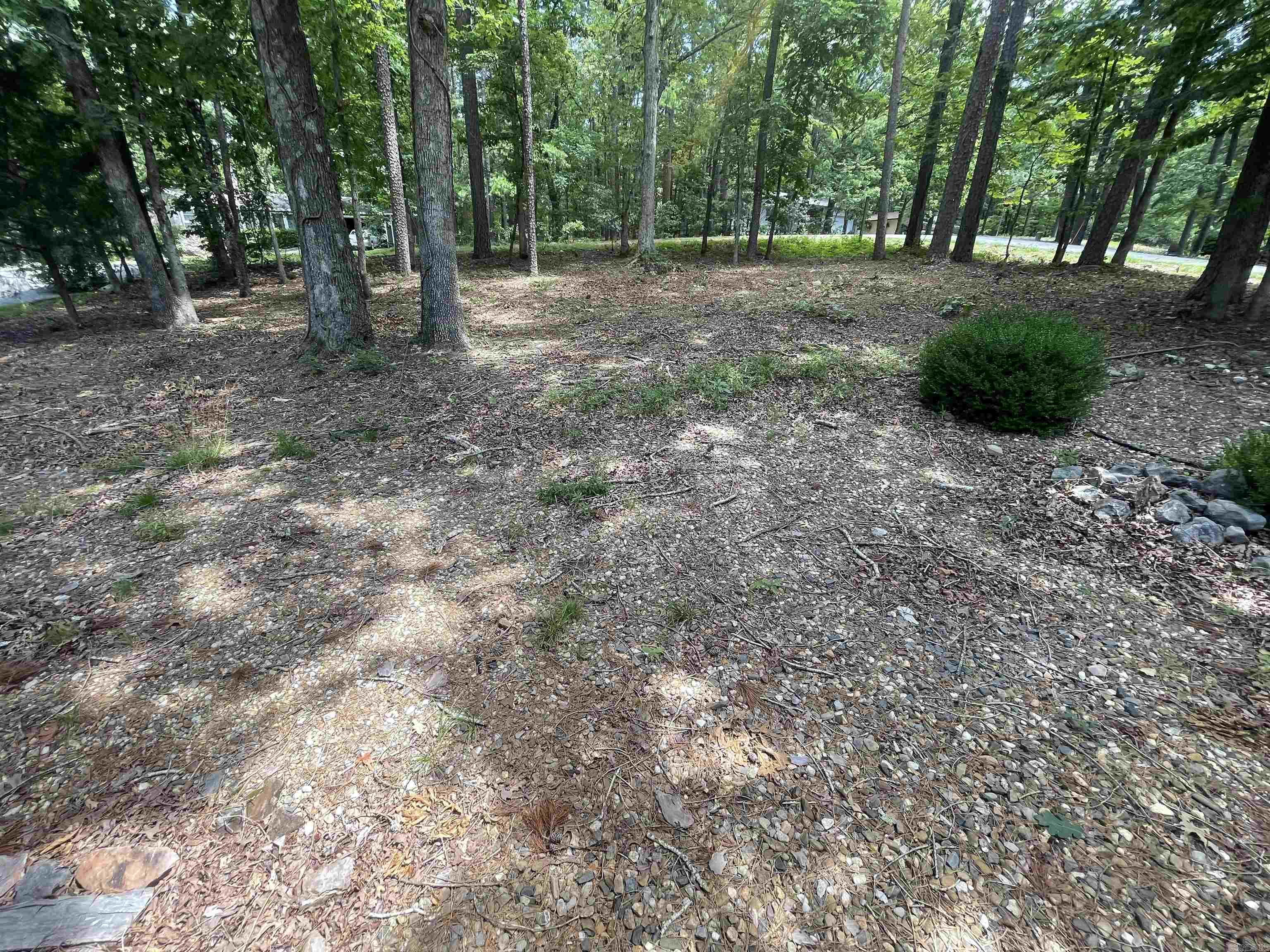 54 La Granja Circle  Hot Springs Village, AR