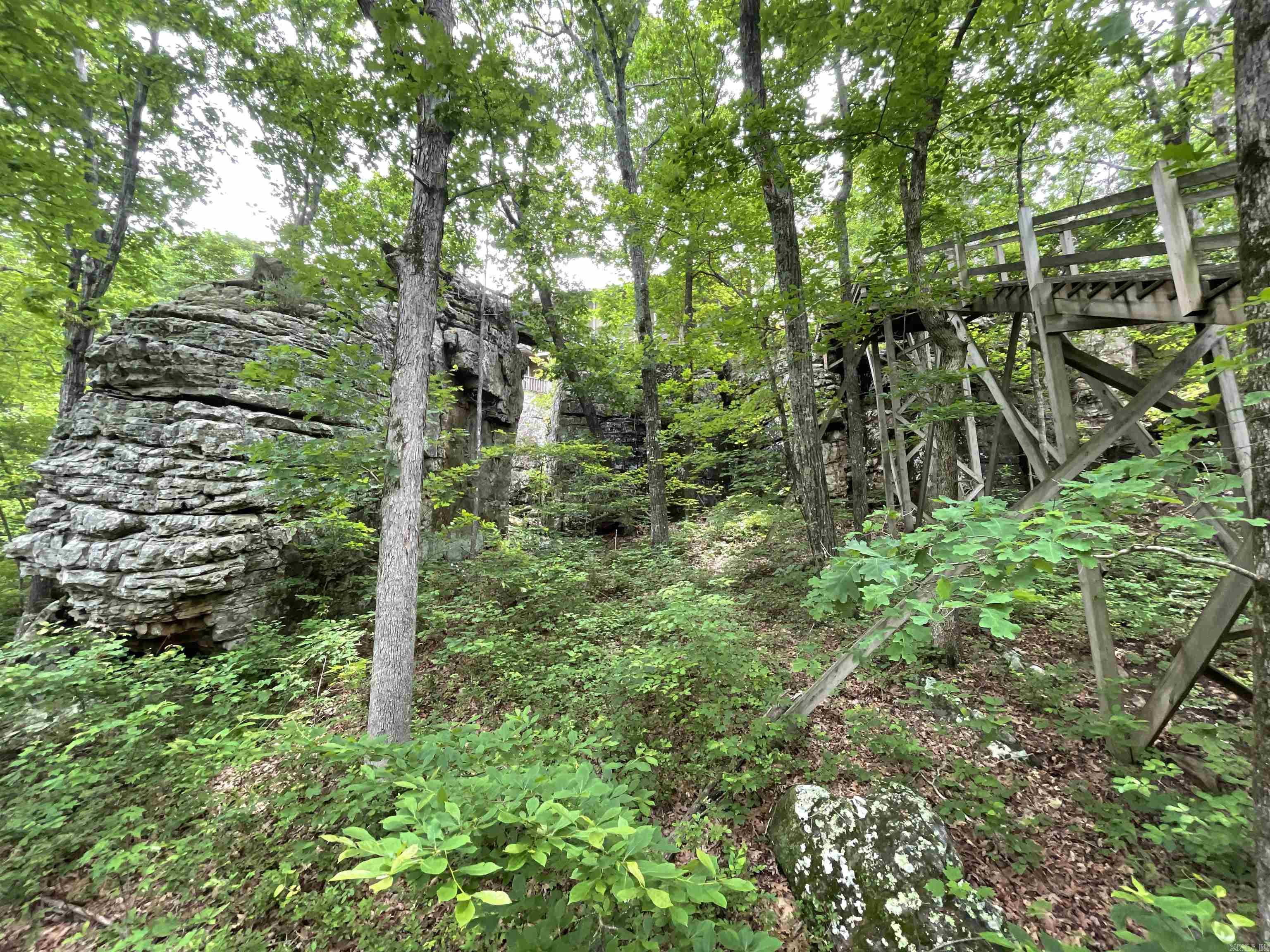 1349  Kahoka  Mountain View, AR