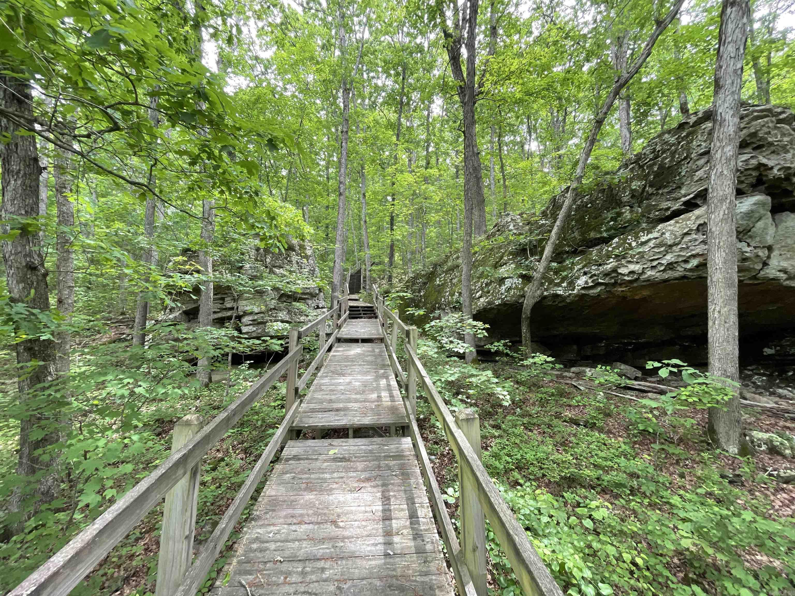 1349  Kahoka  Mountain View, AR