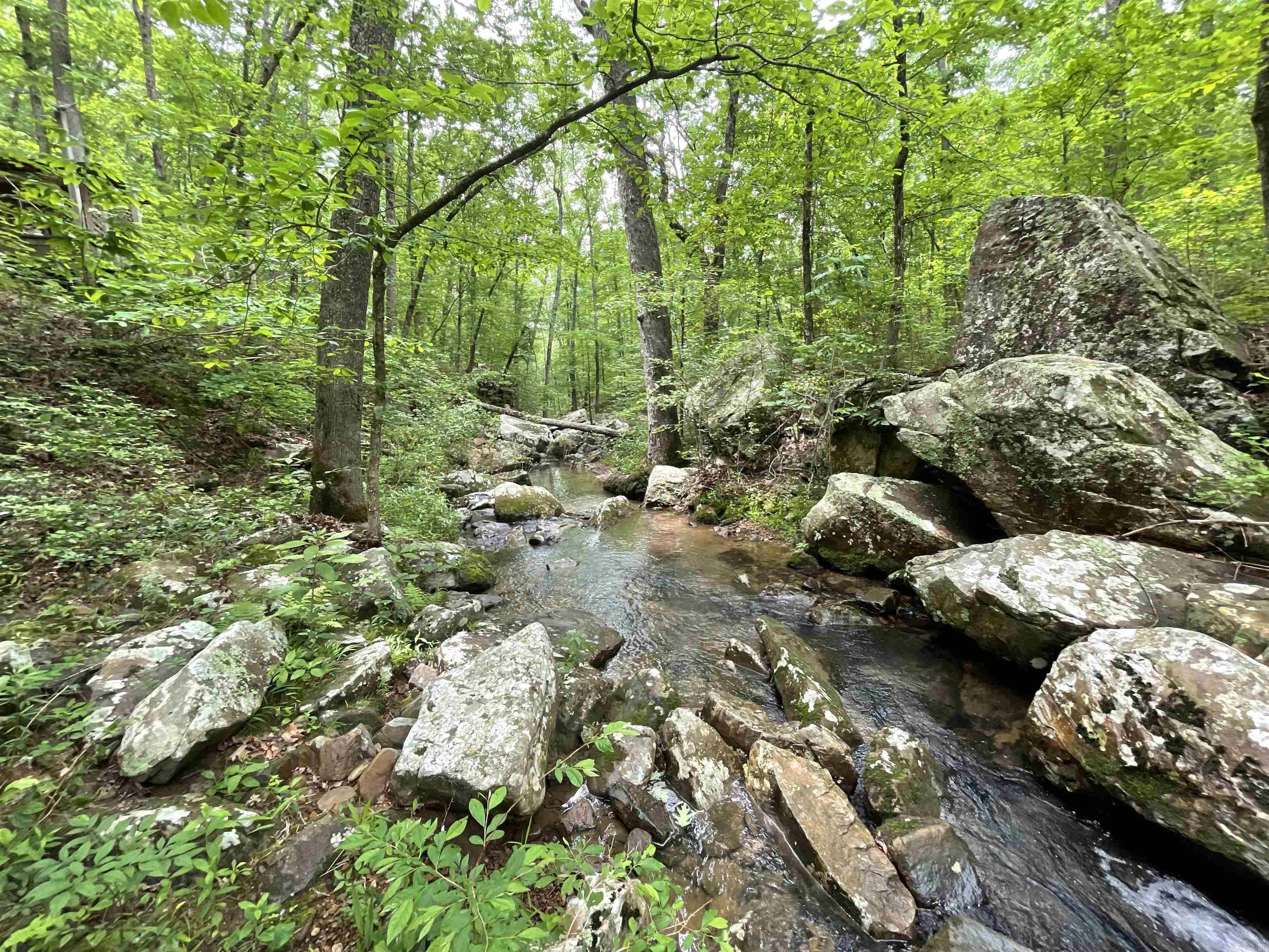 1349  Kahoka  Mountain View, AR