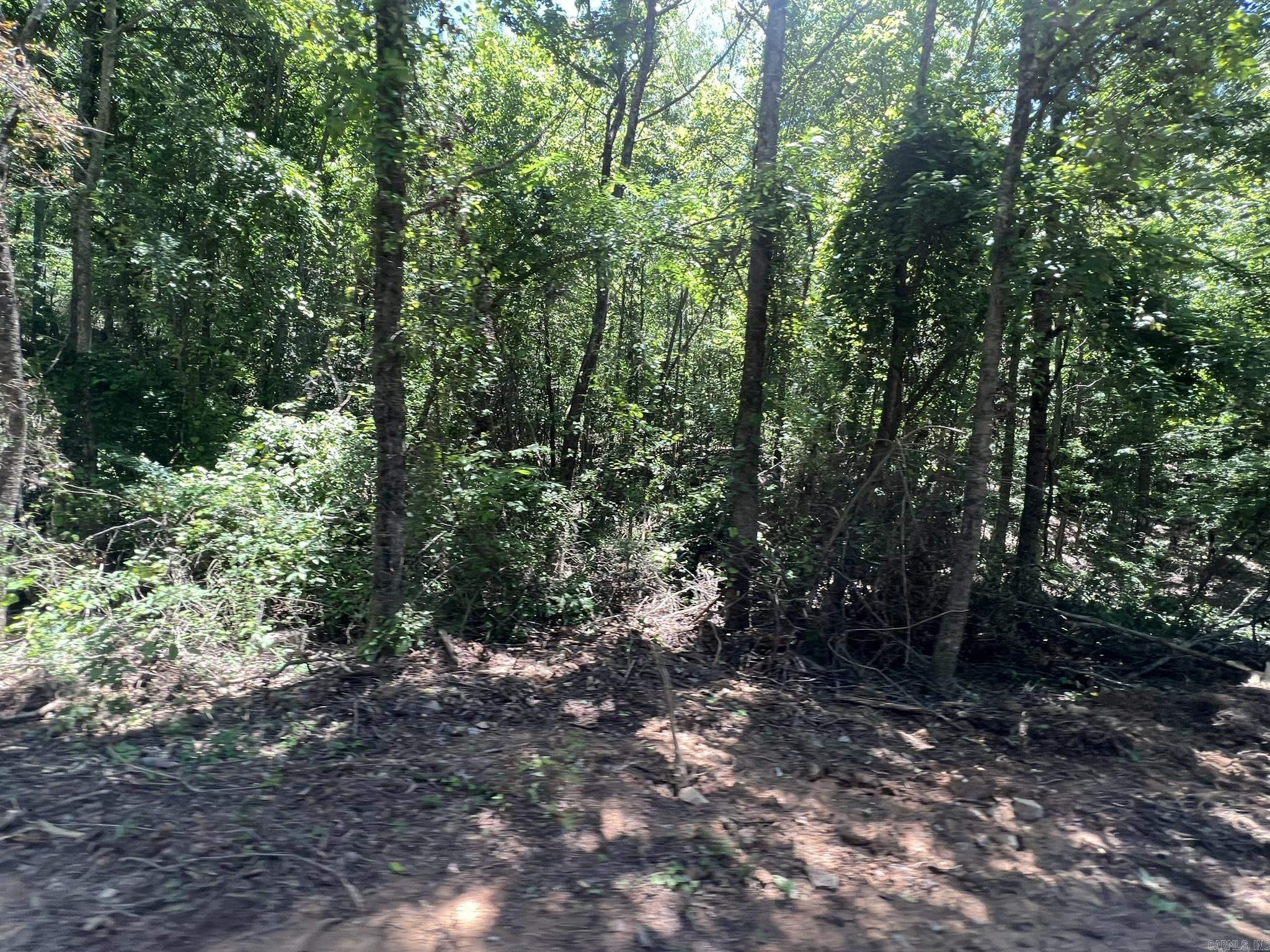 Unk  County Road 720  Mena, AR