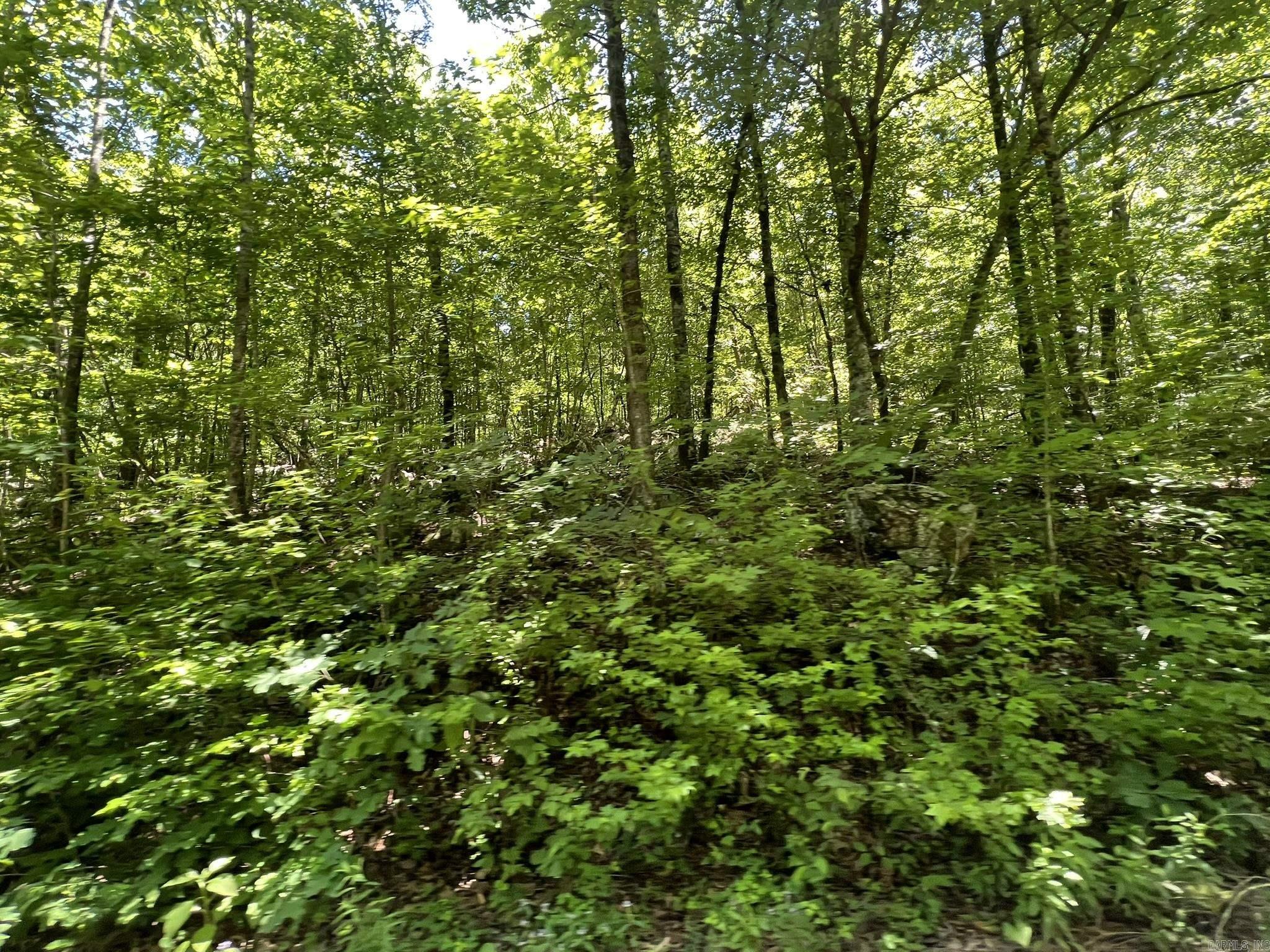 Unk  County Road 720  Mena, AR