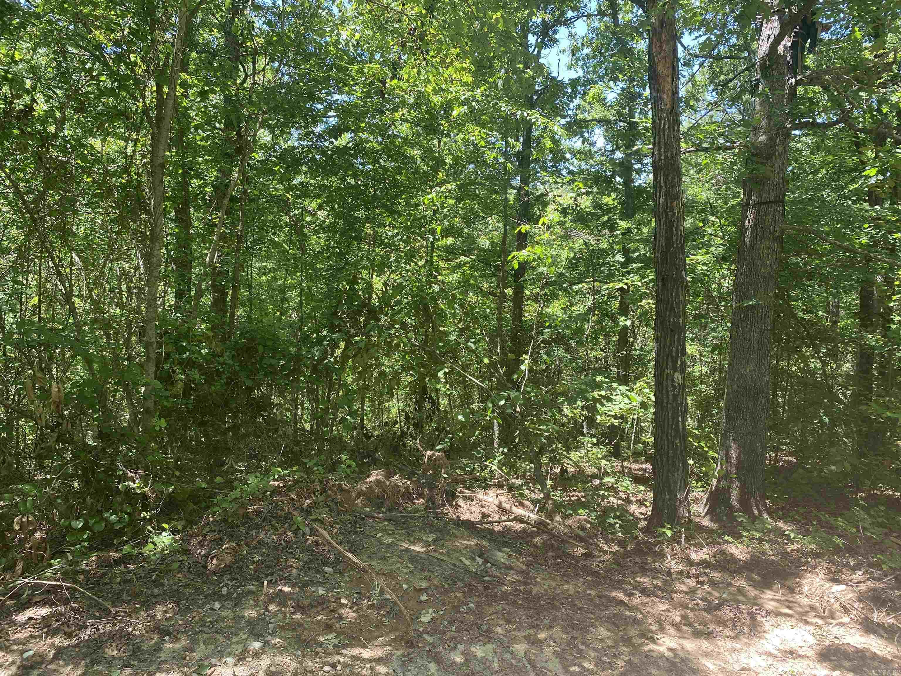 Unk  County Road 720  Mena, AR