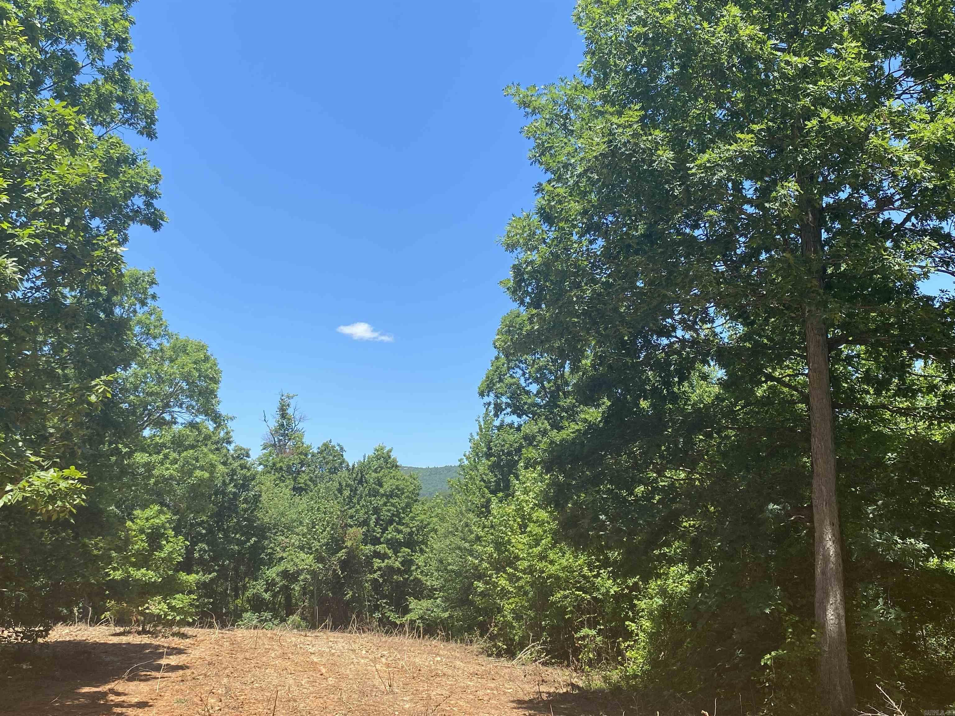 Unk  County Road 720  Mena, AR