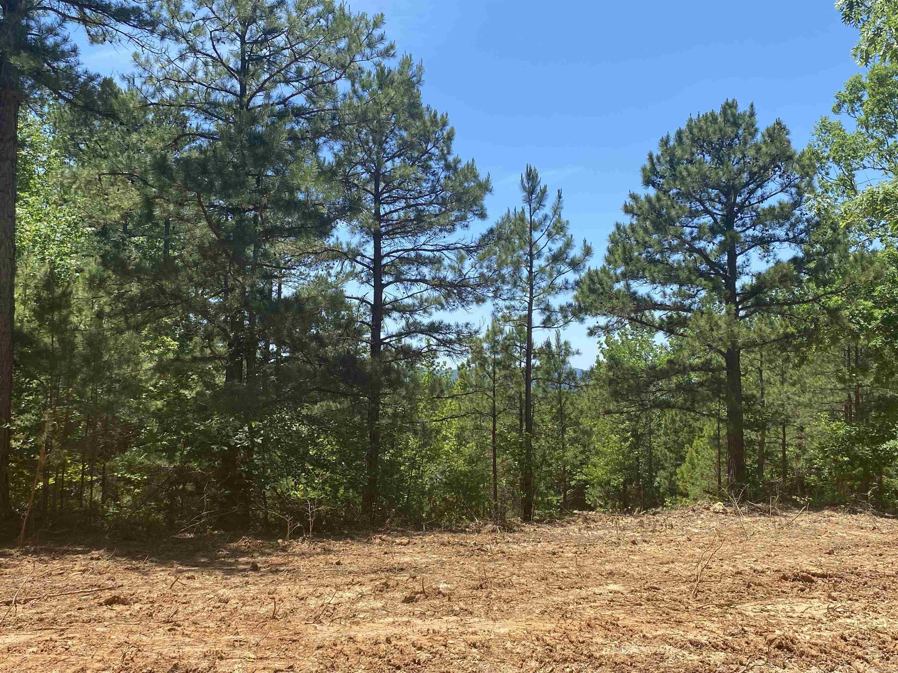 Unk  County Road 720  Mena, AR