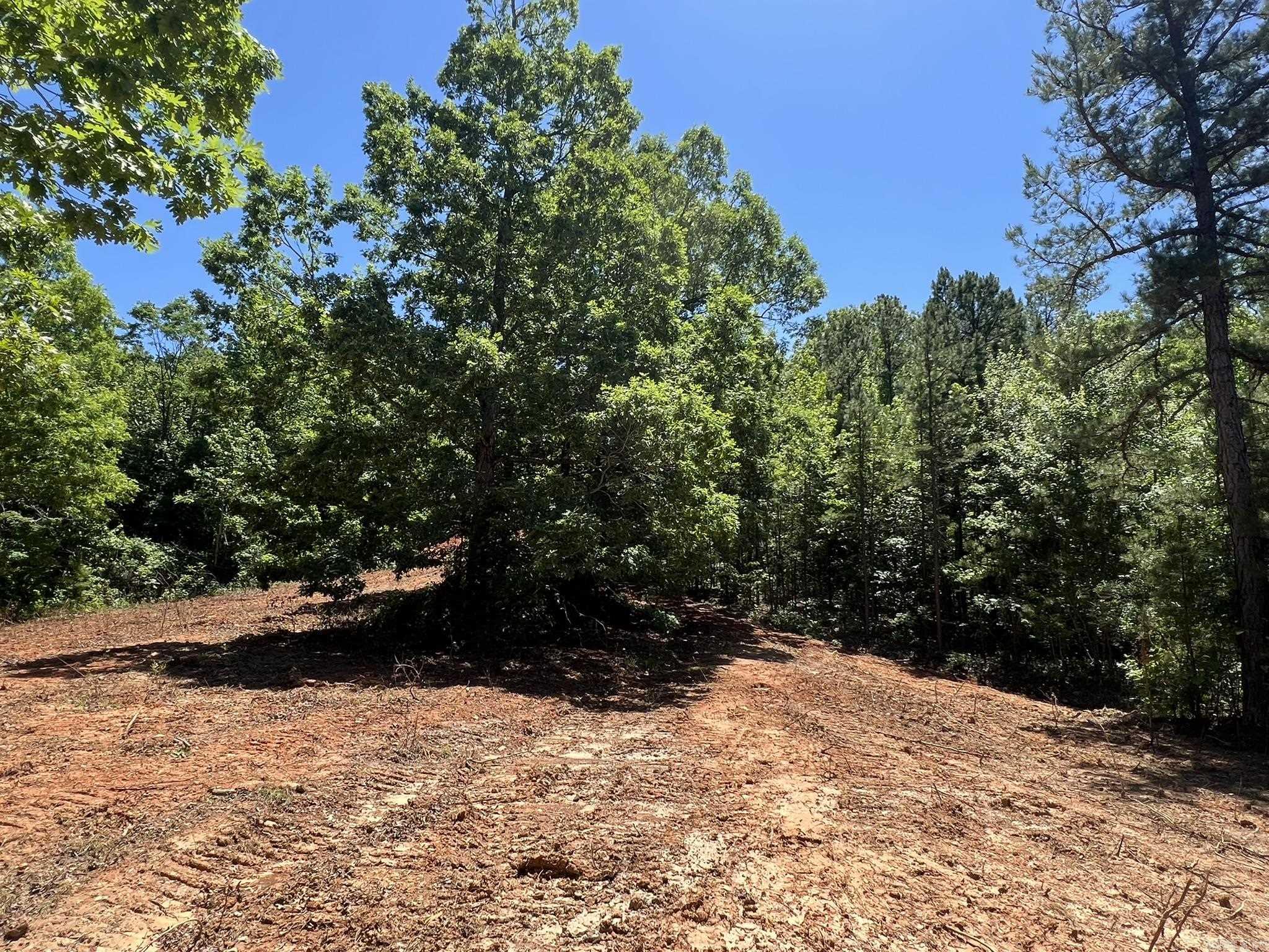 Unk  County Road 720  Mena, AR