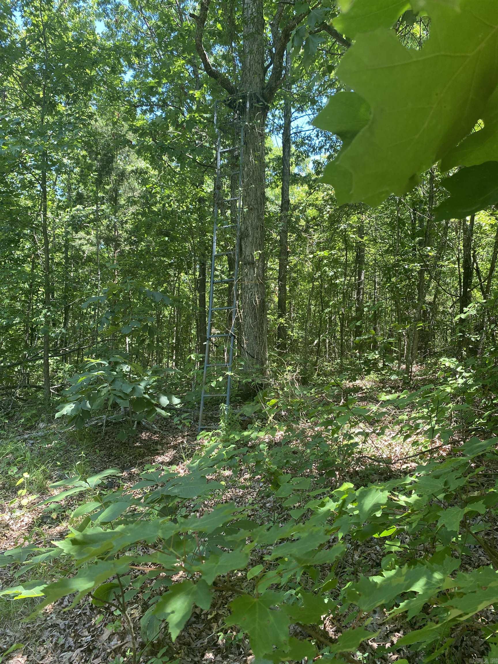Unk  County Road 720  Mena, AR