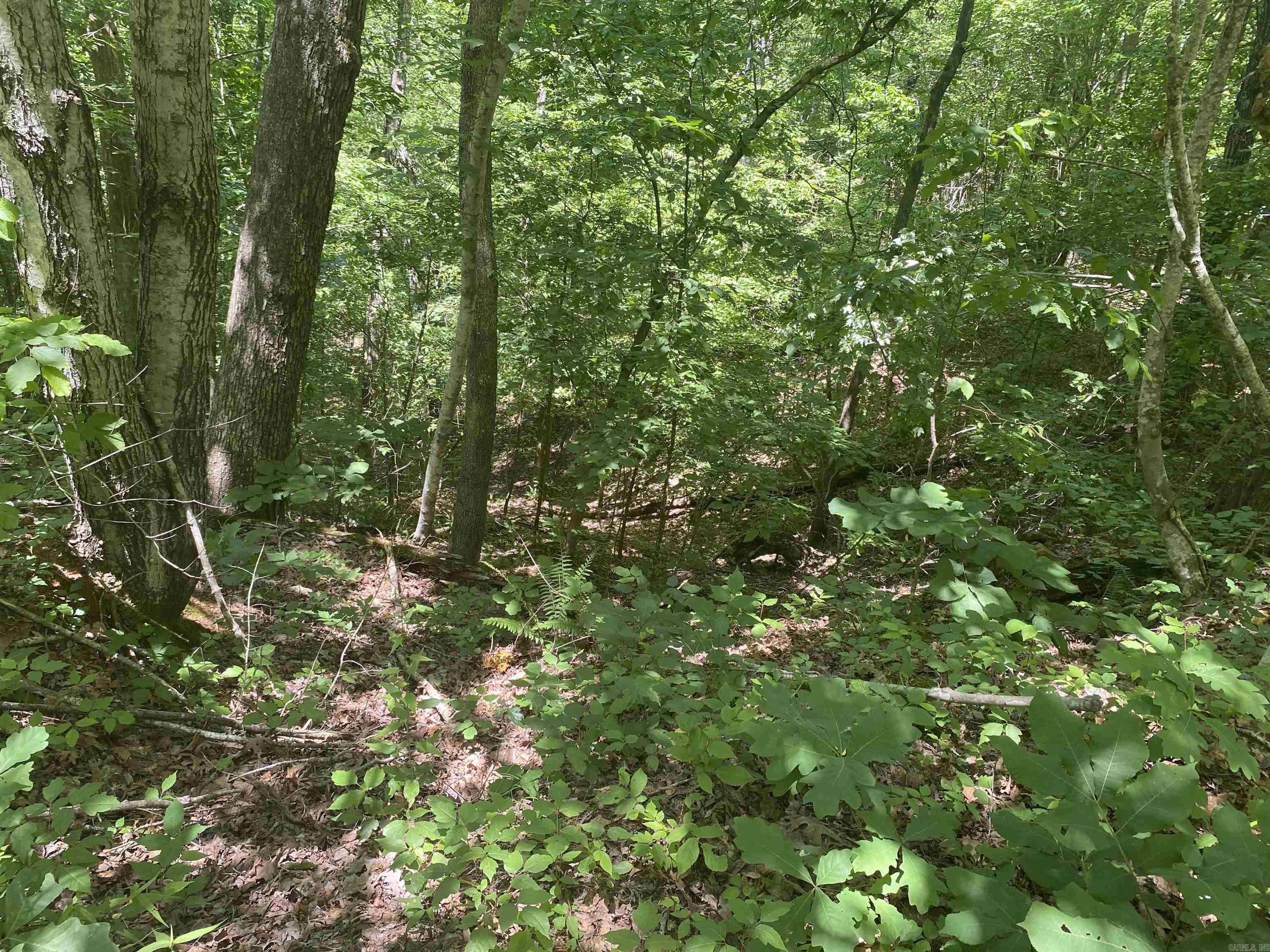 Unk  County Road 720  Mena, AR