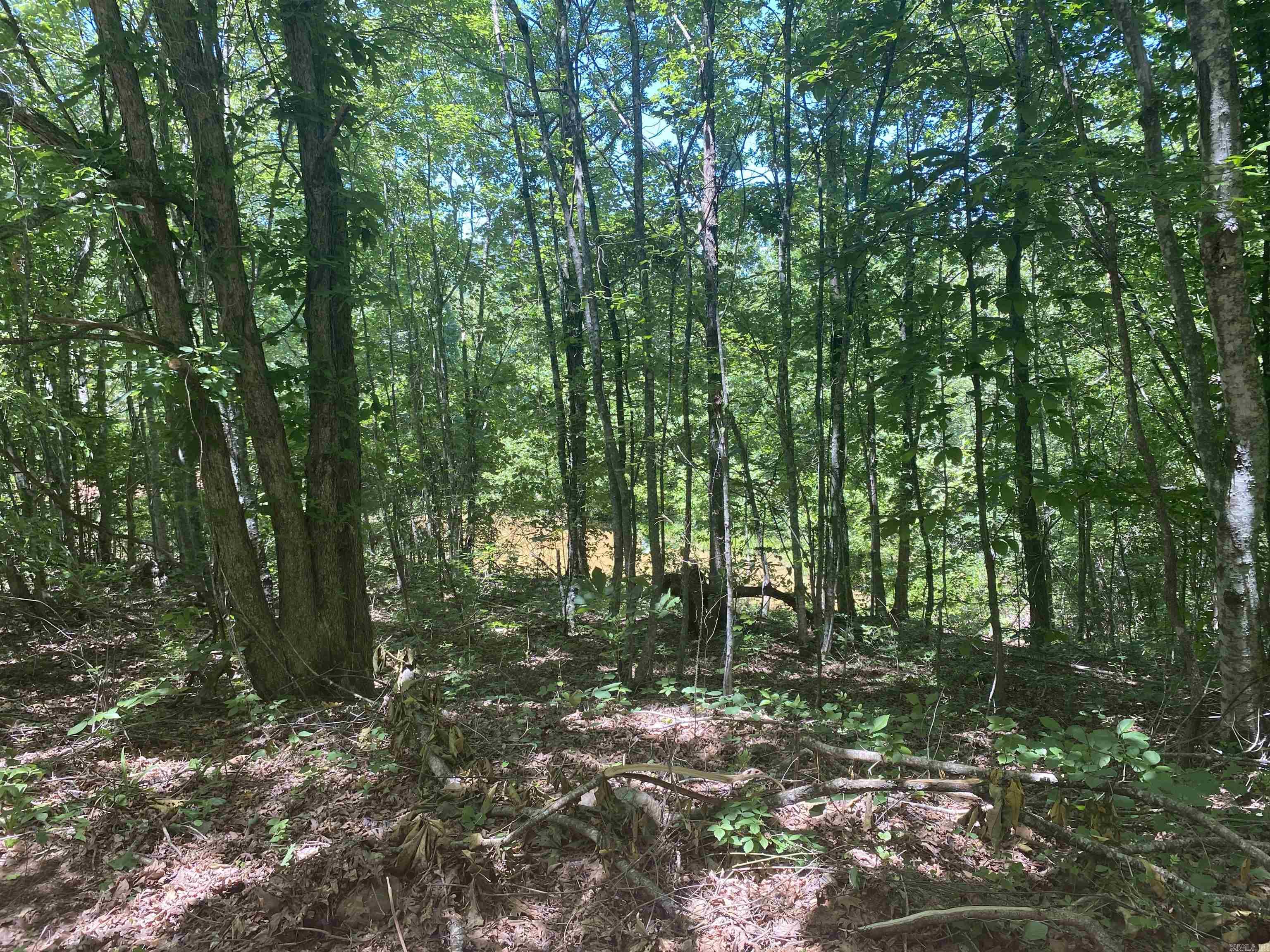 Unk  County Road 720  Mena, AR