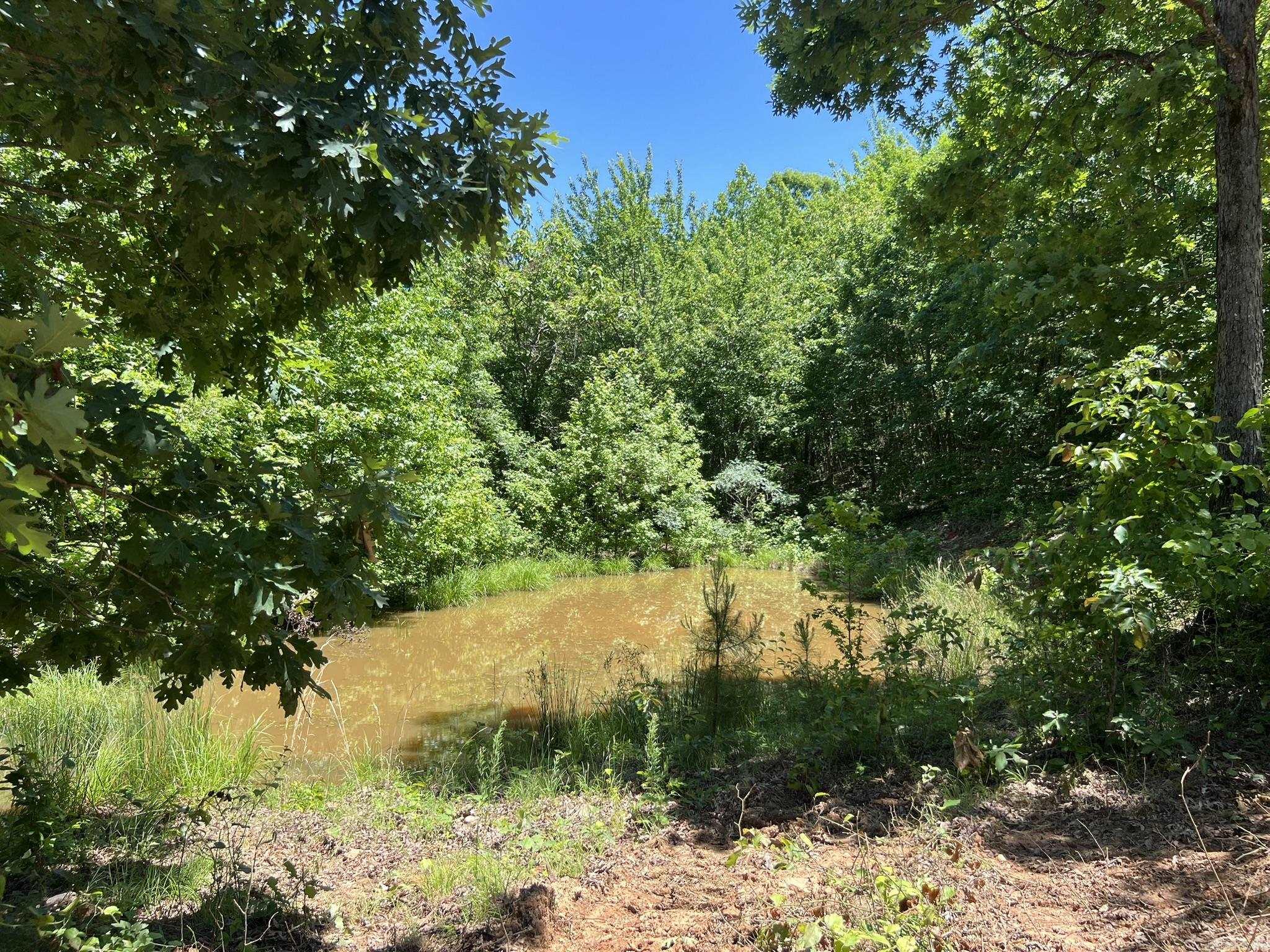 Unk  County Road 720  Mena, AR