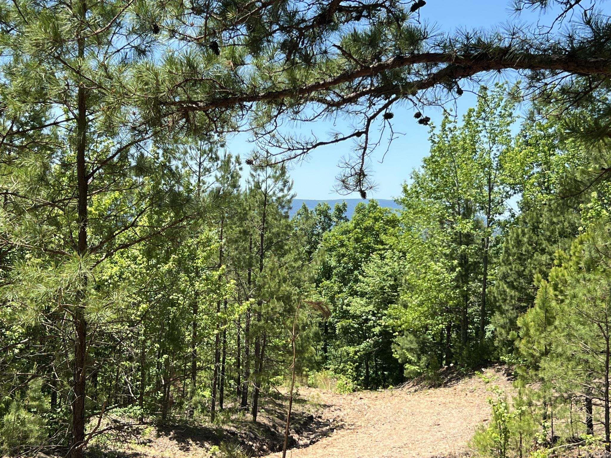 Unk  County Road 720  Mena, AR