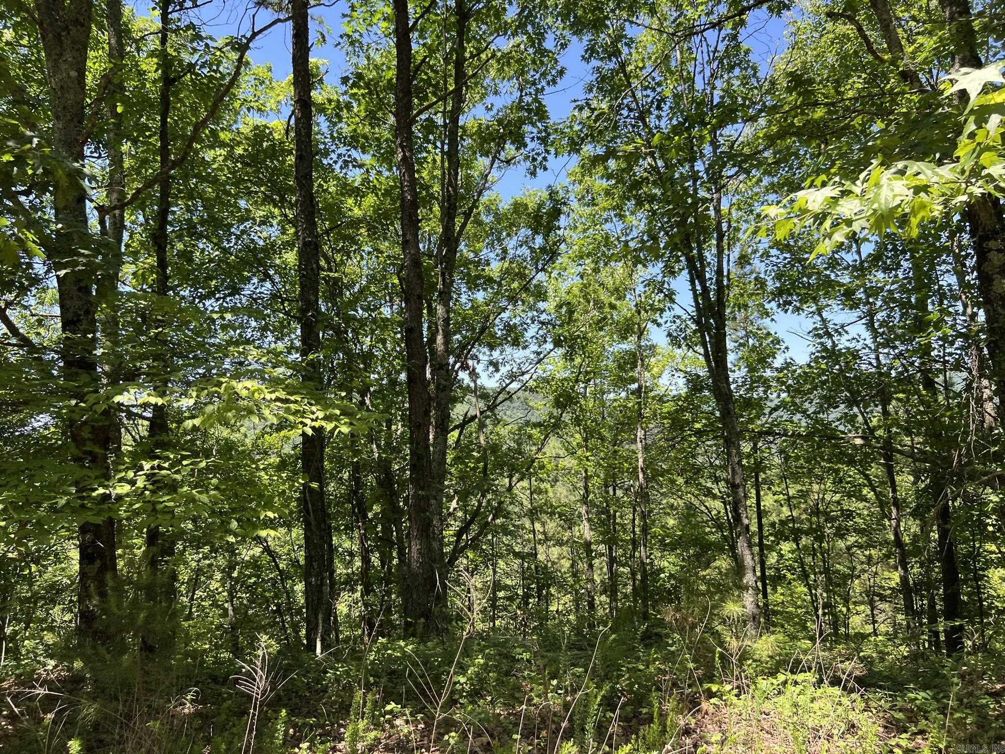 Unk  County Road 720  Mena, AR