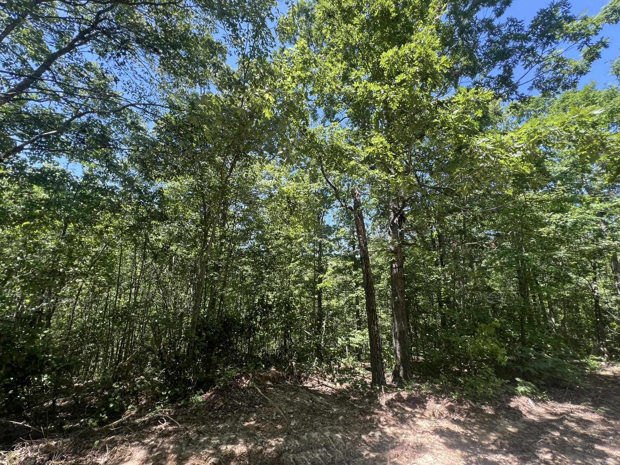 Unk  County Road 720  Mena, AR