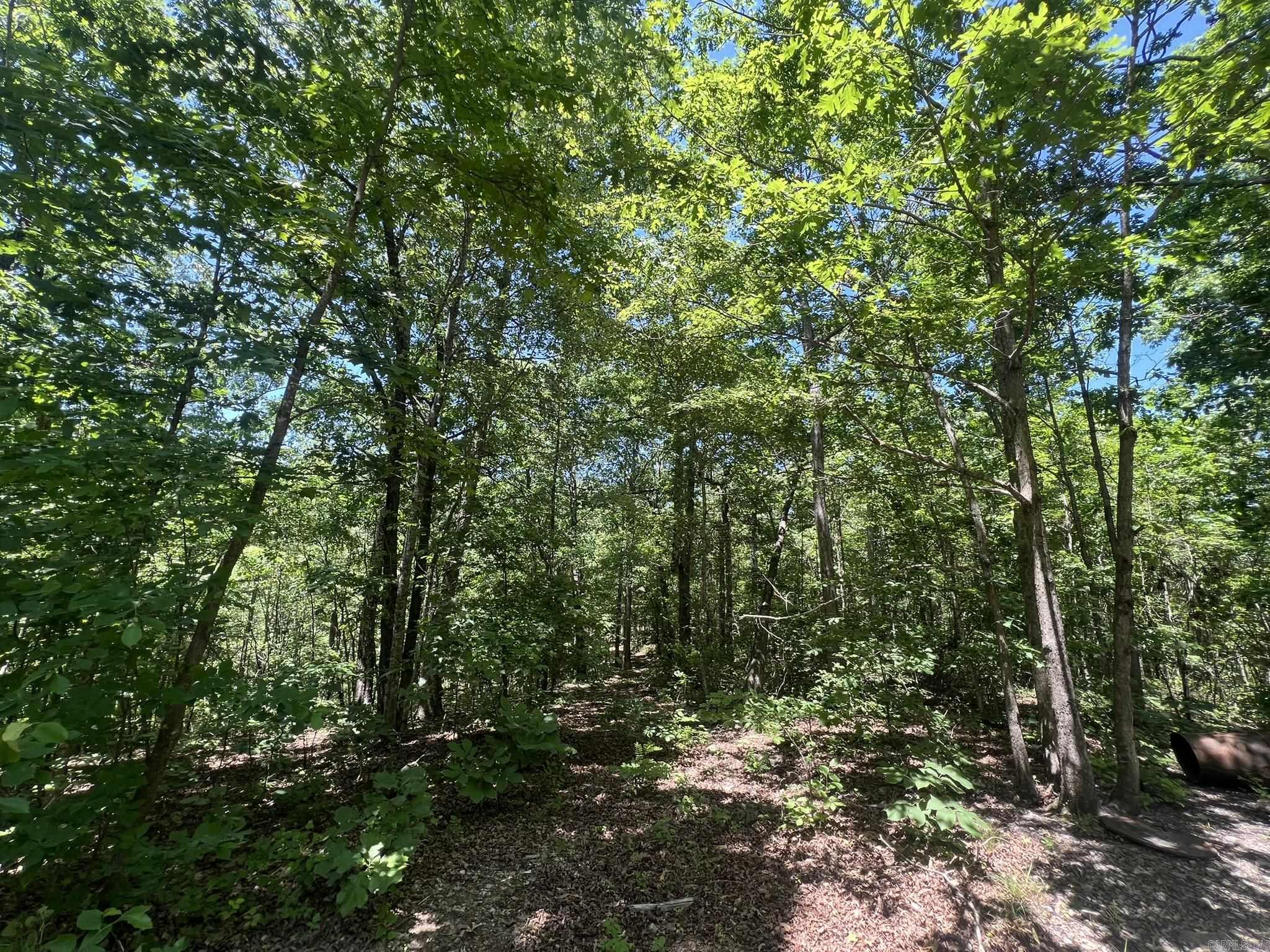 Unk  County Road 720  Mena, AR