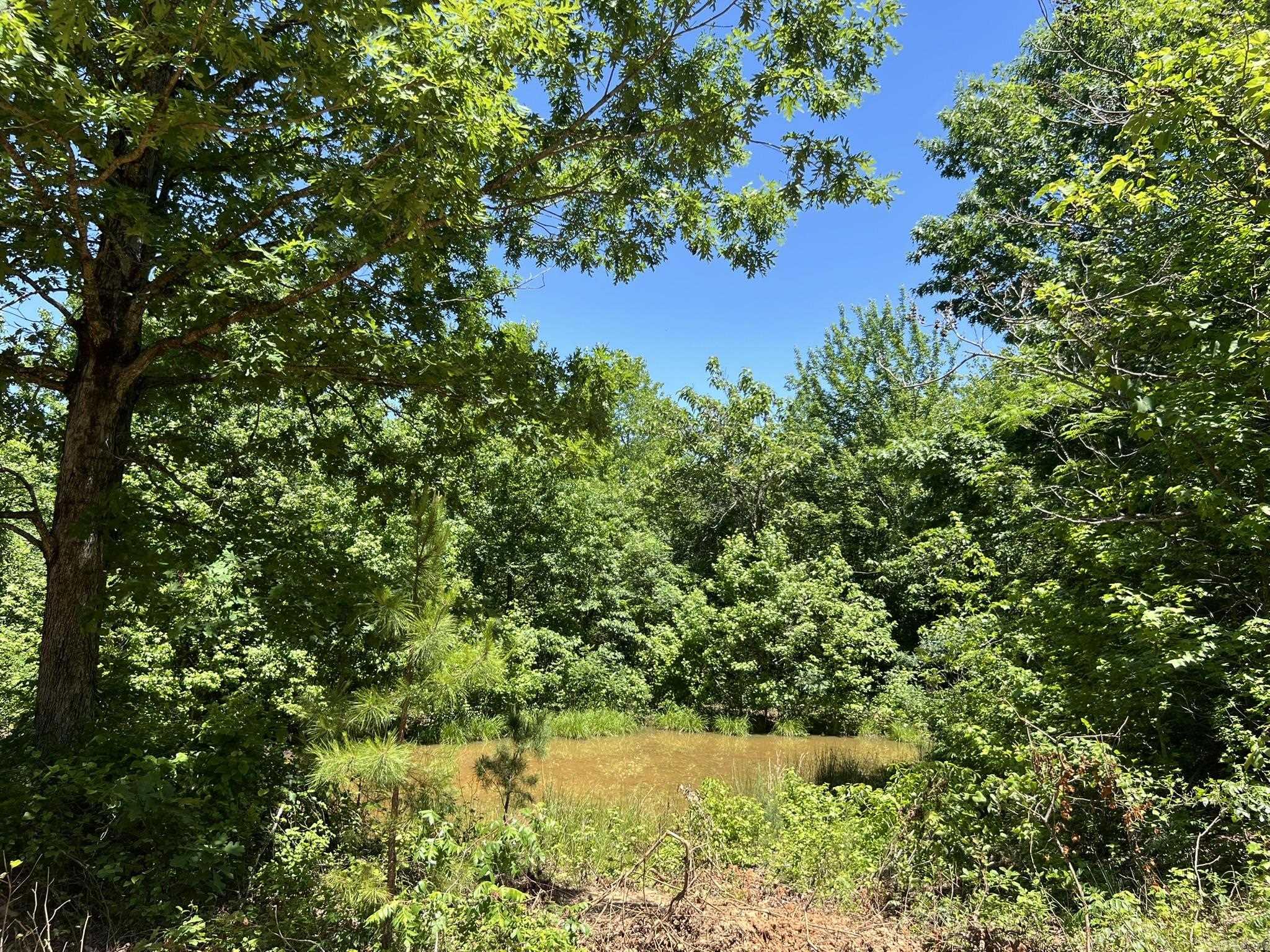 Unk  County Road 720  Mena, AR