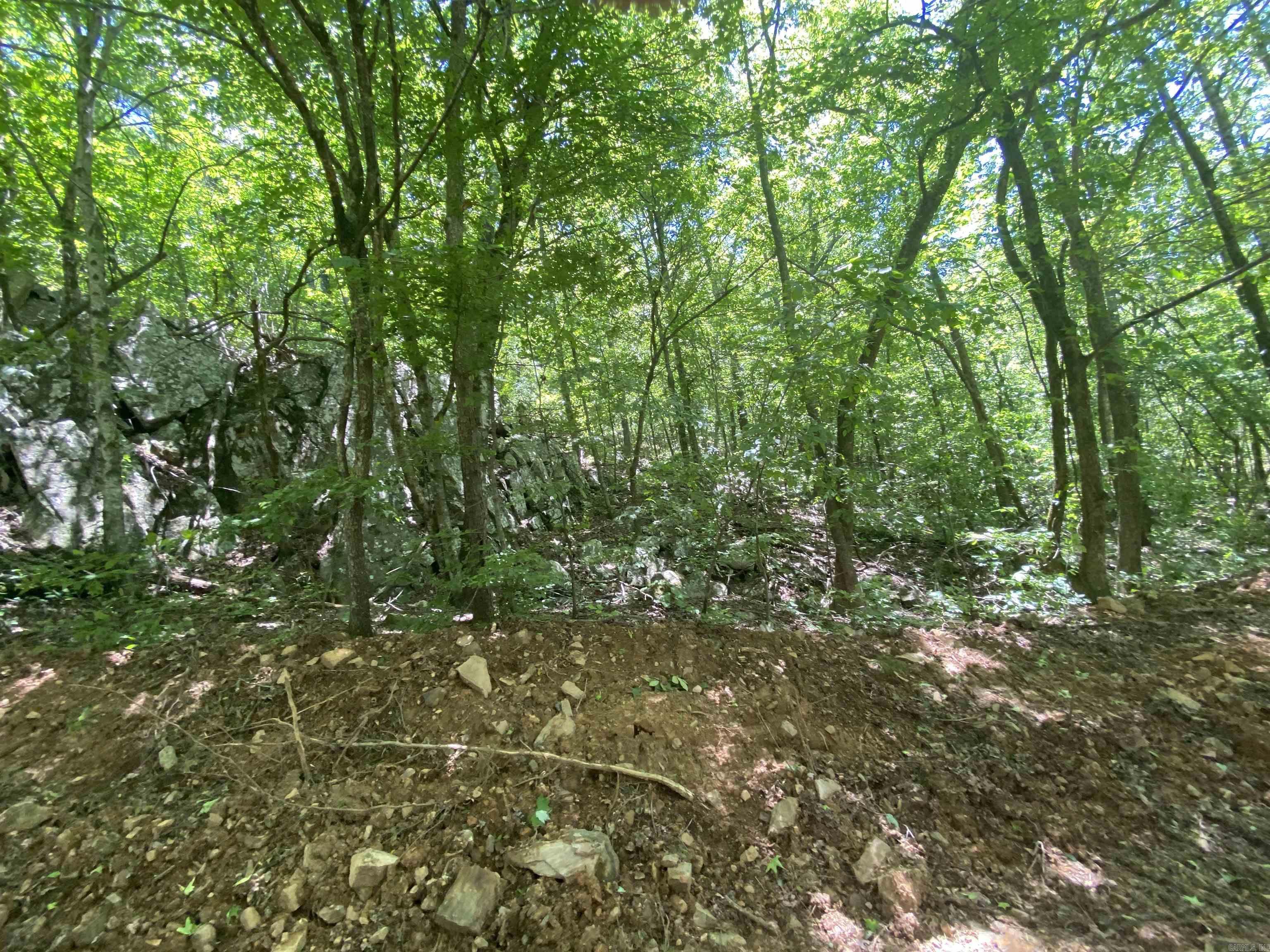 Unk County Road 720  Mena, AR