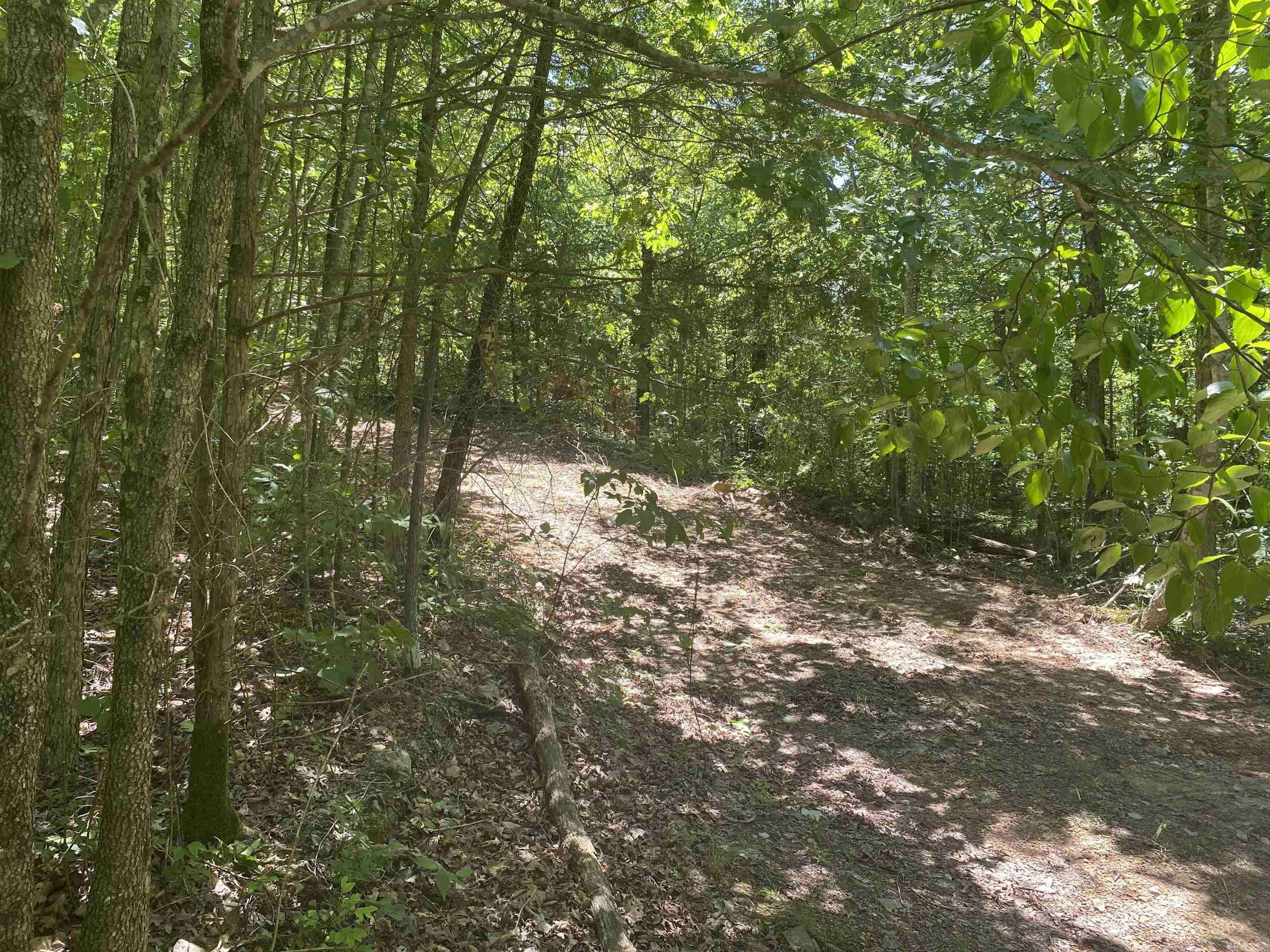 Unk County Road 720  Mena, AR