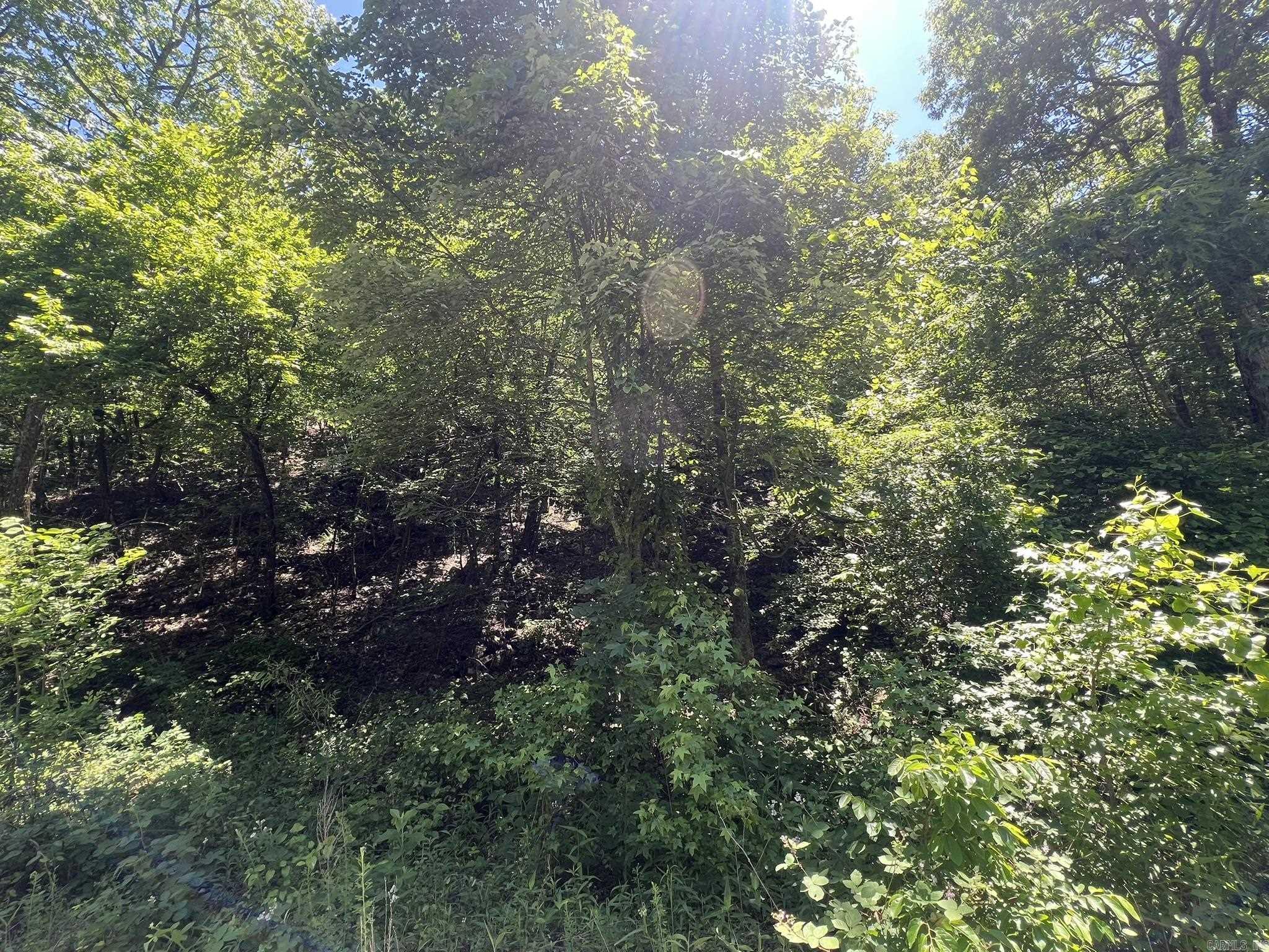 Unk  County Road 720  Mena, AR