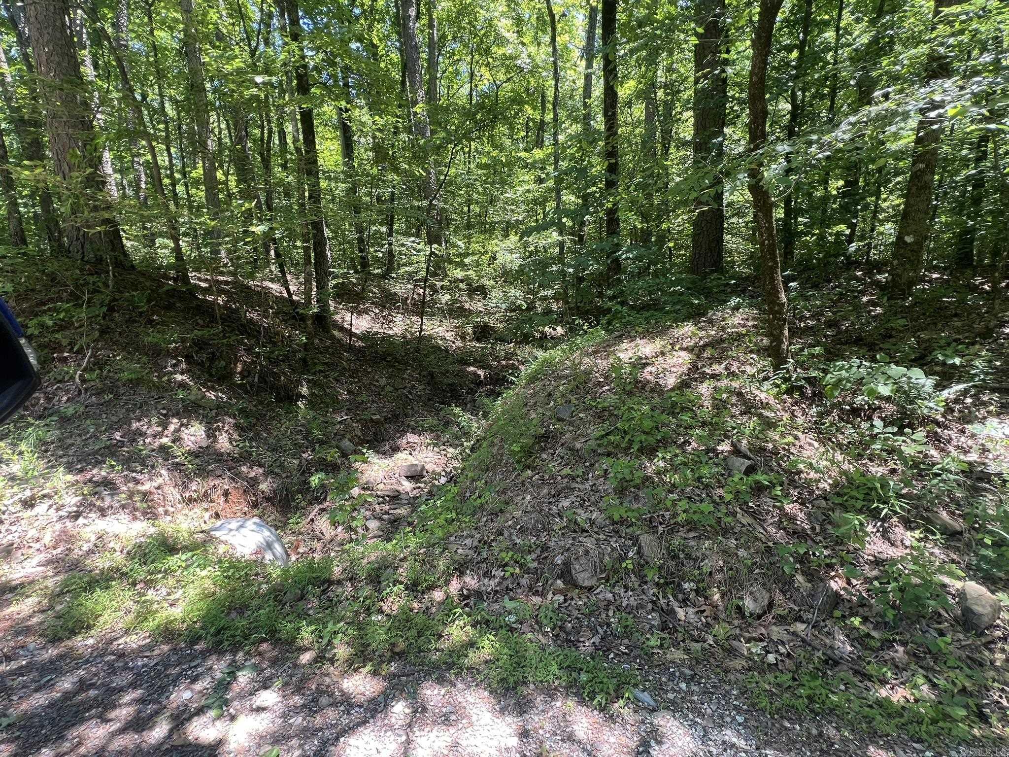 Unk  County Road 720  Mena, AR