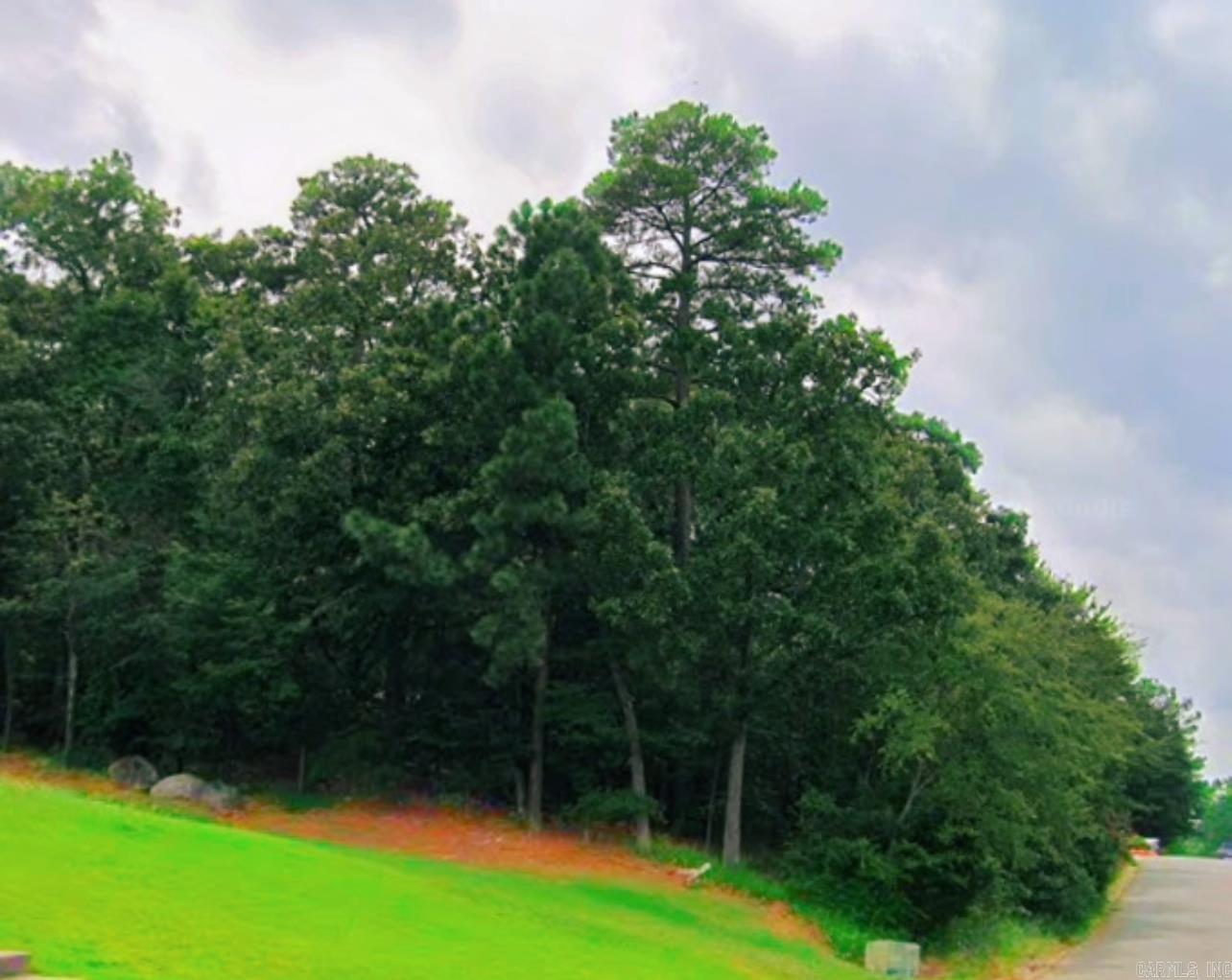 26  Norfork Drive  Maumelle, AR