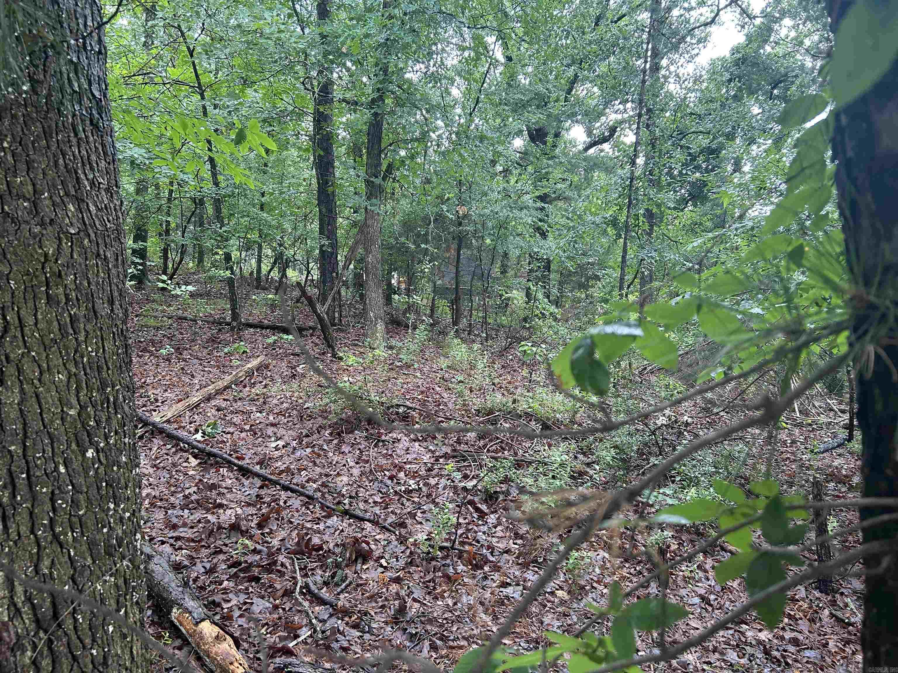 26  Norfork Drive  Maumelle, AR