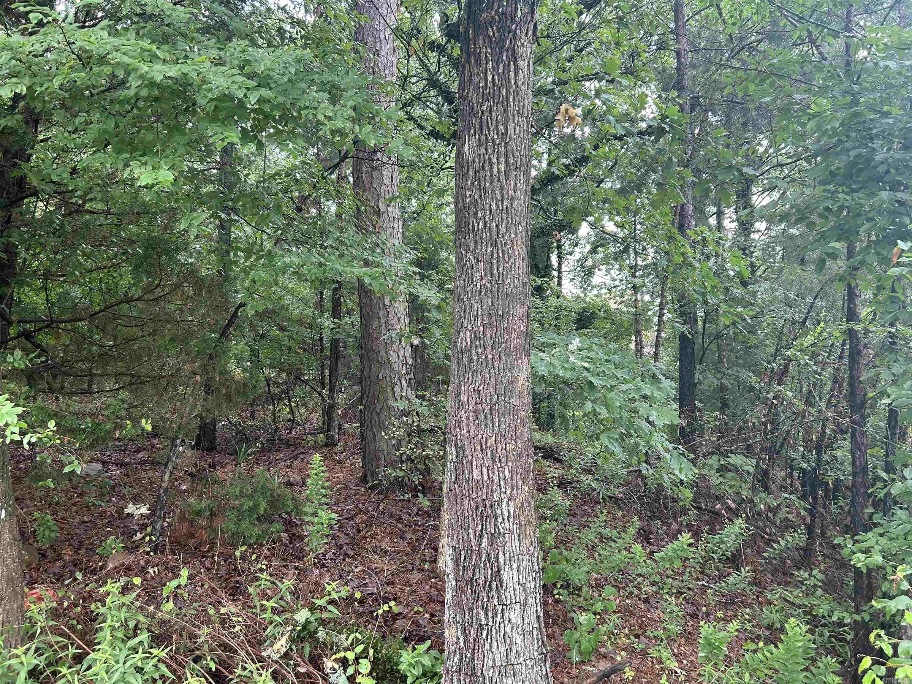 26  Norfork Drive  Maumelle, AR