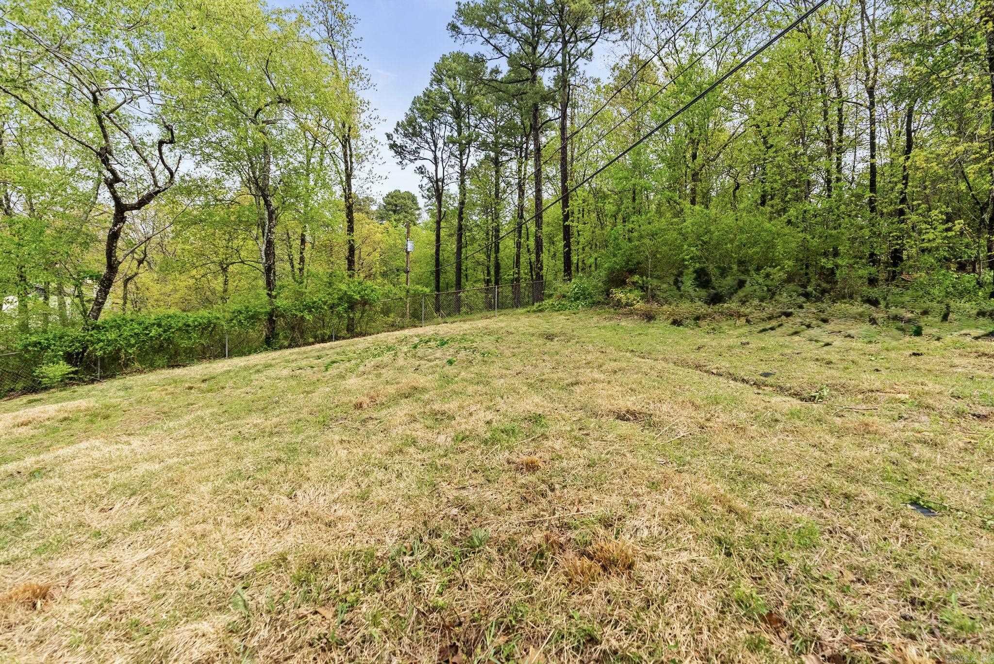 13  Misty  Little Rock, AR